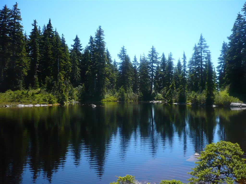 1024x768 Sam Lake, Theagill Lake, and Cabin Lake on Cypress