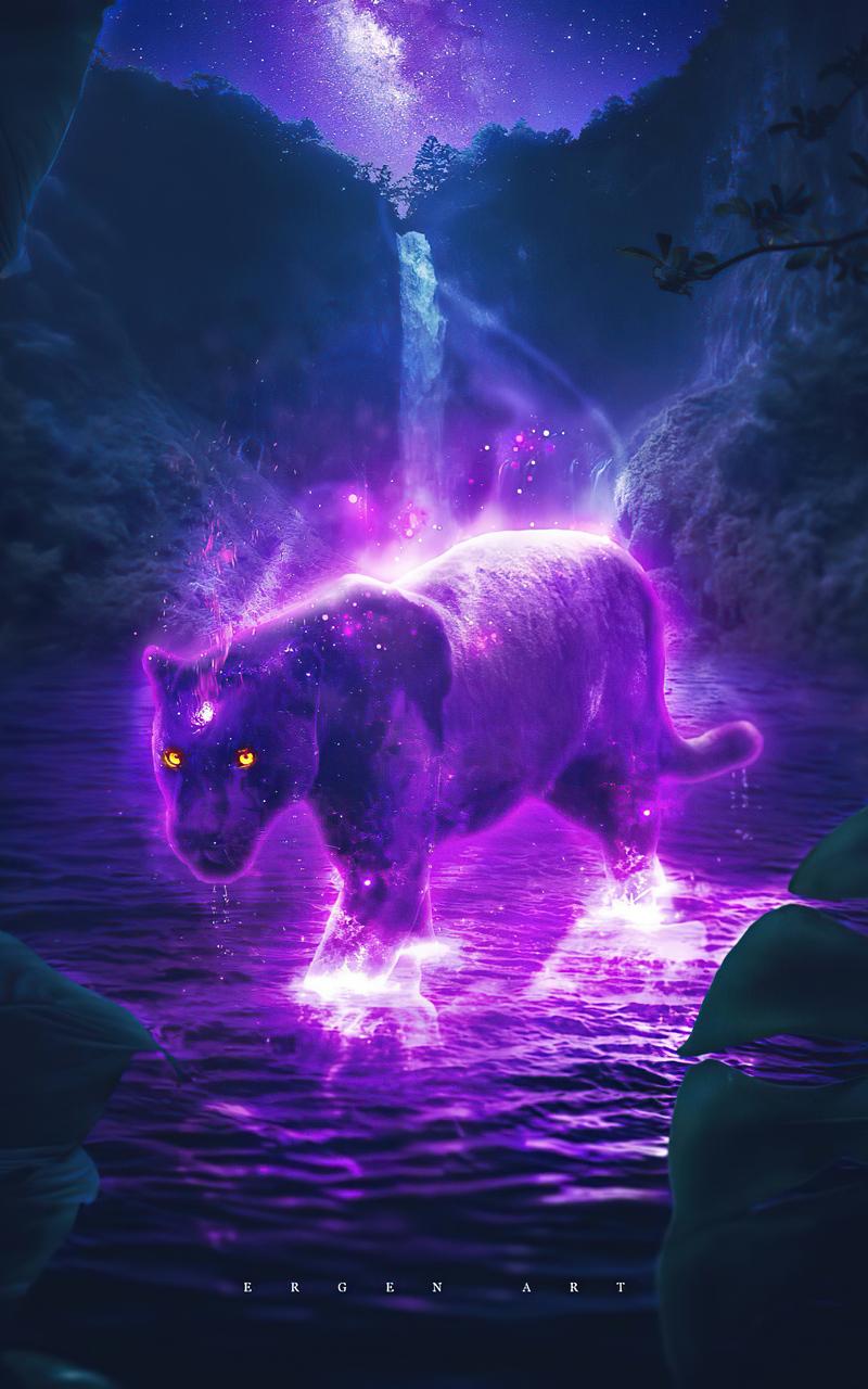 Galaxy Animals Wallpapers Top Free Galaxy Animals Backgrounds