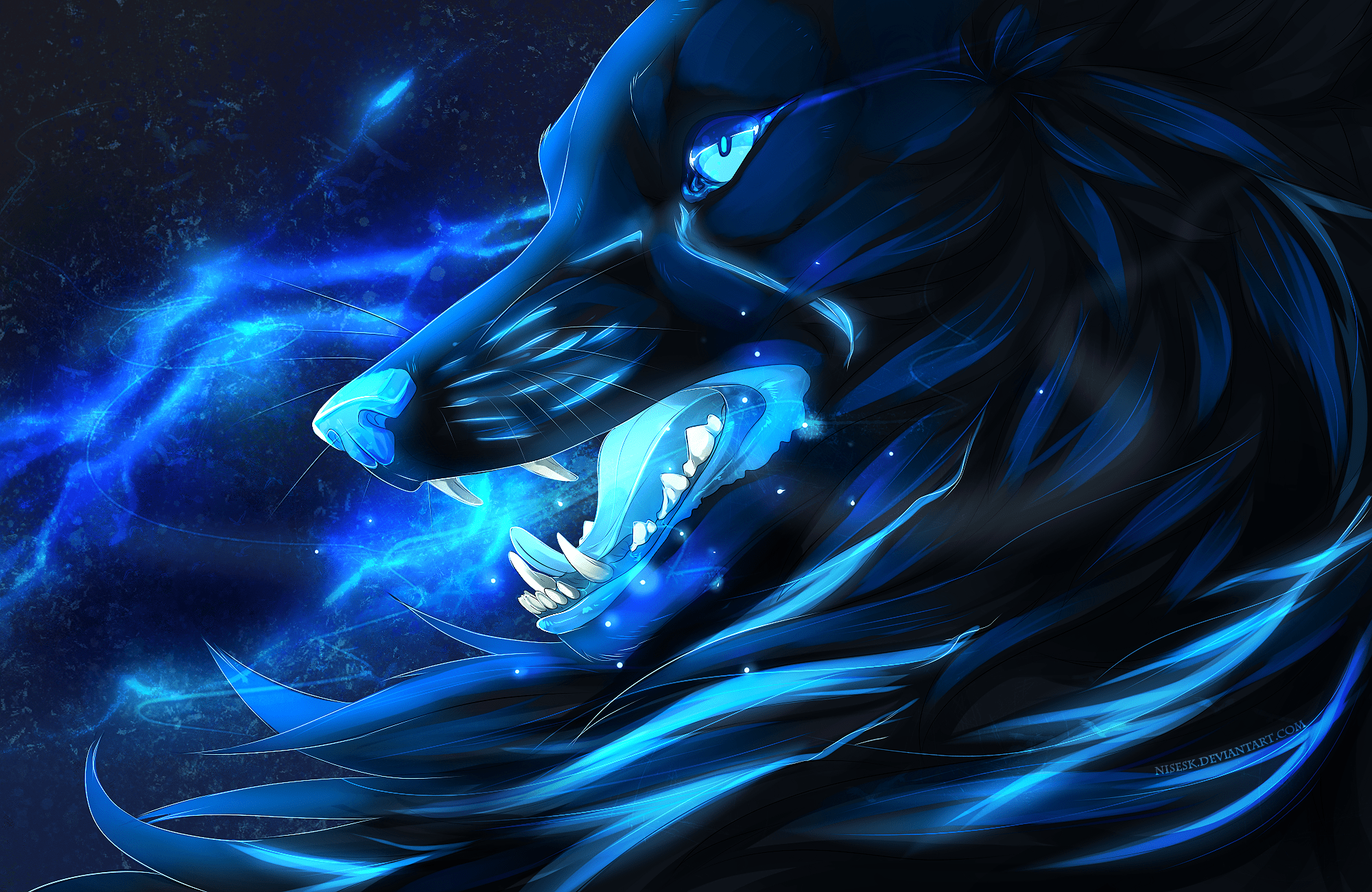 2000x1300 2000x1300 Animal, Wolf Gallery HD Wallpaper