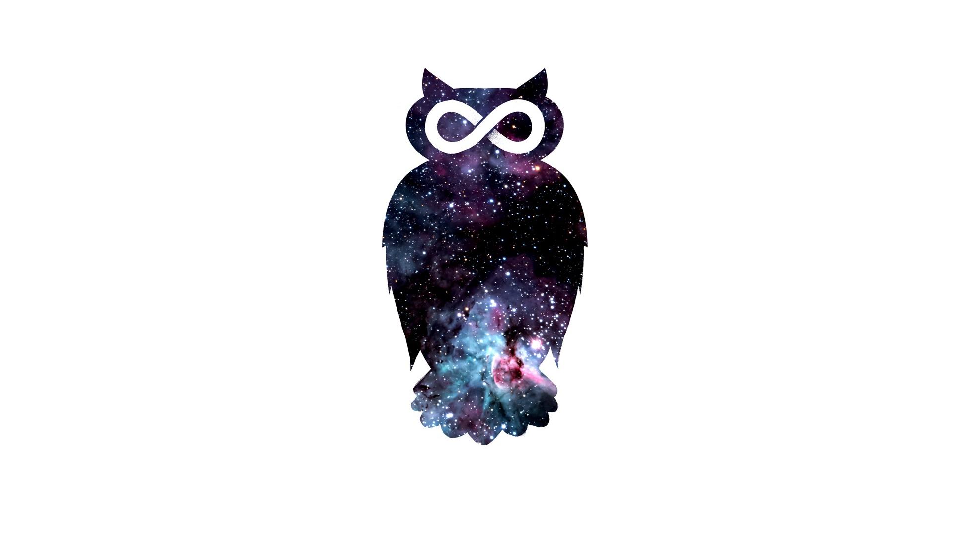 1920x1080 owl, stars, infinity, galaxy, minimalism, animals, digital art, space, white background Gallery HD Wallpaper
