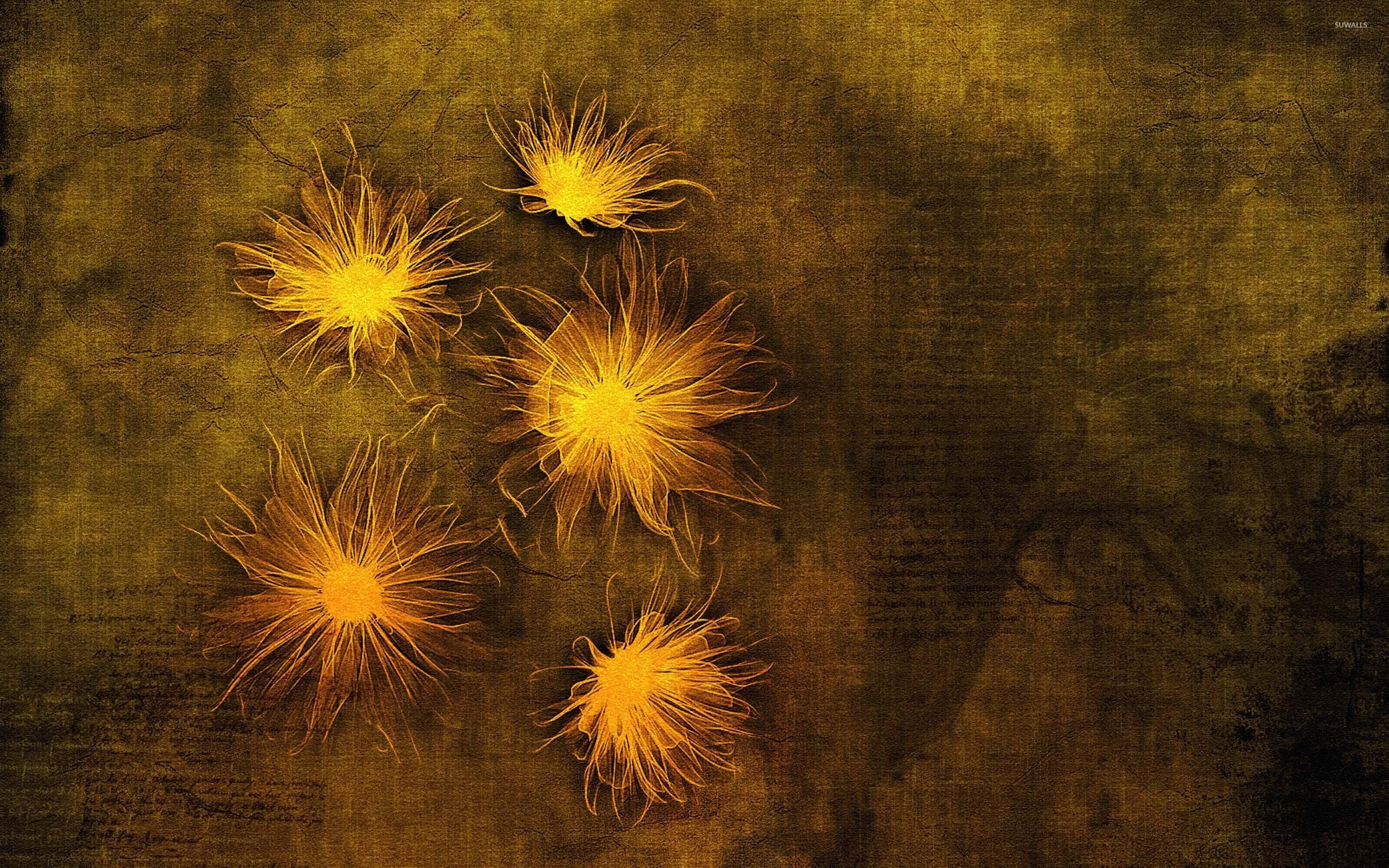 2560x1600 Glowing flowers on an old parchment wallpaper wallpaper