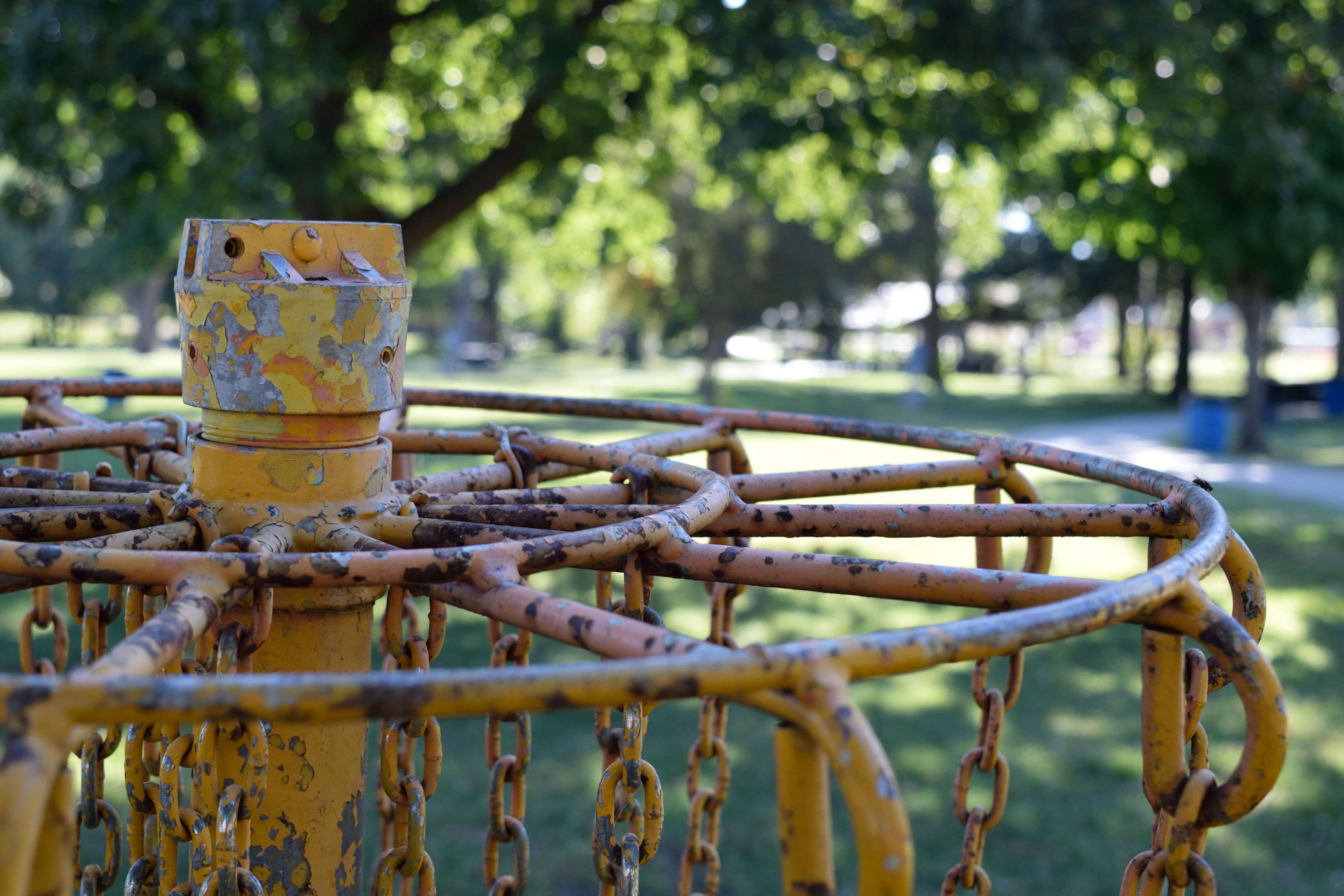 3840x2560 disc golf 4k Gallery HD Wallpaper