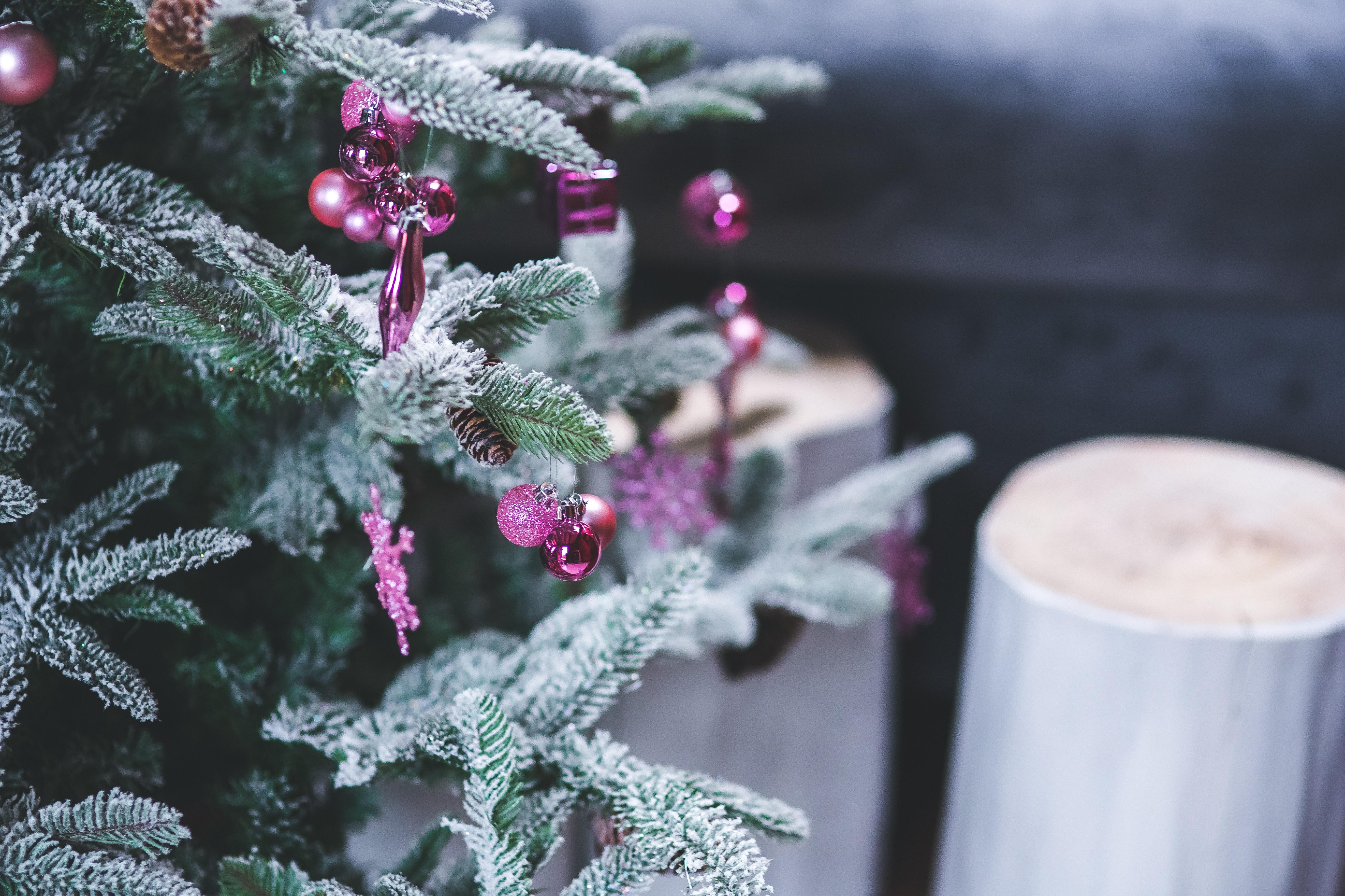 5472x3648 Pink Christmas Tree Decorations · Free