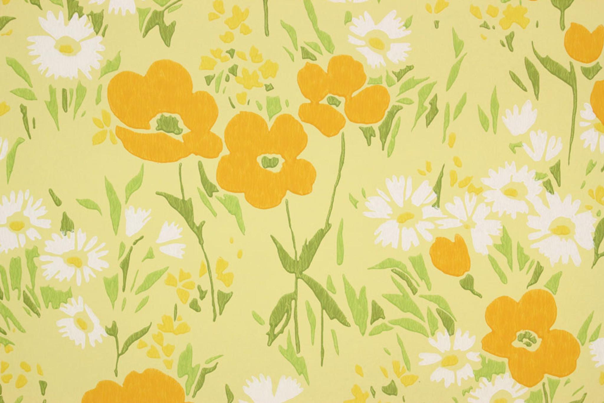 Orange Poppies Wallpapers - Top Free Orange Poppies Backgrounds