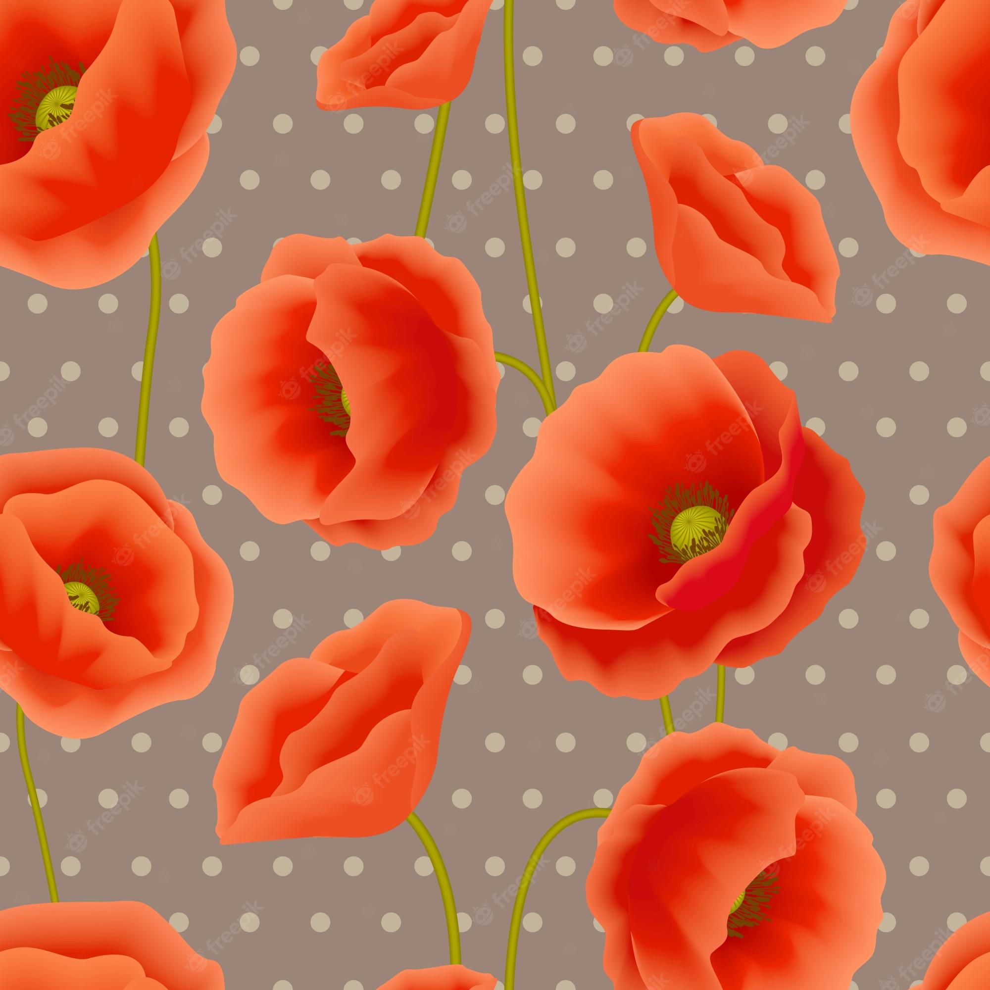 Orange Poppies Wallpapers - Top Free Orange Poppies Backgrounds