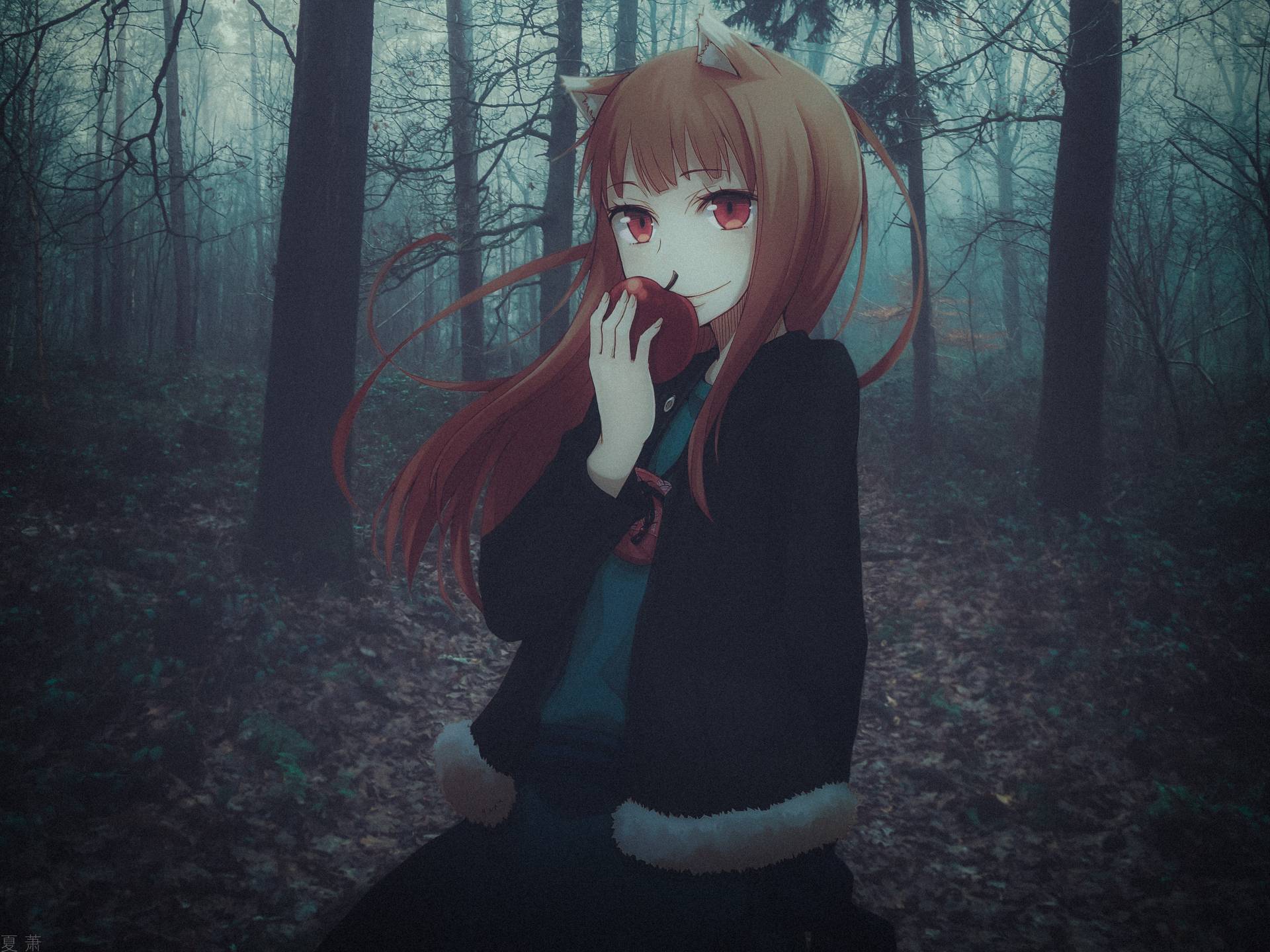 1920x1440 Holo Spice and Wolf Wallpaper, HD Anime 4K Wallpaper, Image, Photo and Background