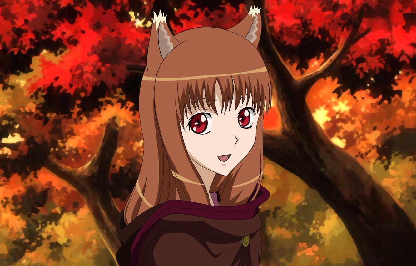 1332x850 Wallpaper autumn, Horo, Spice and wolf, Holo, Holo The Wise Wolf image for desktop, section сэйнэн
