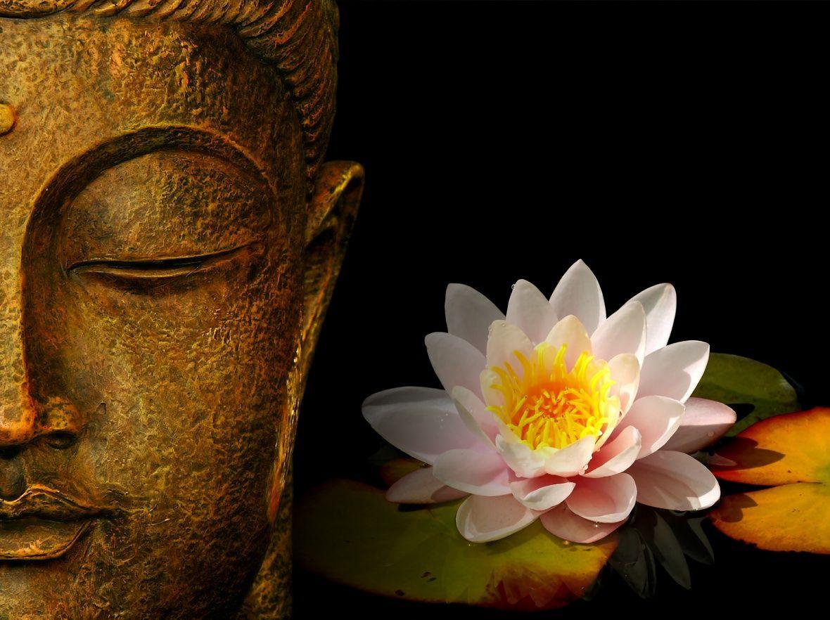 1180x882 Zen Picture