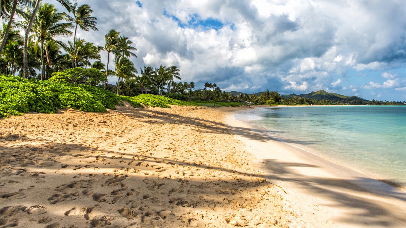 1600x900 Things To Do & Experience in Kailua