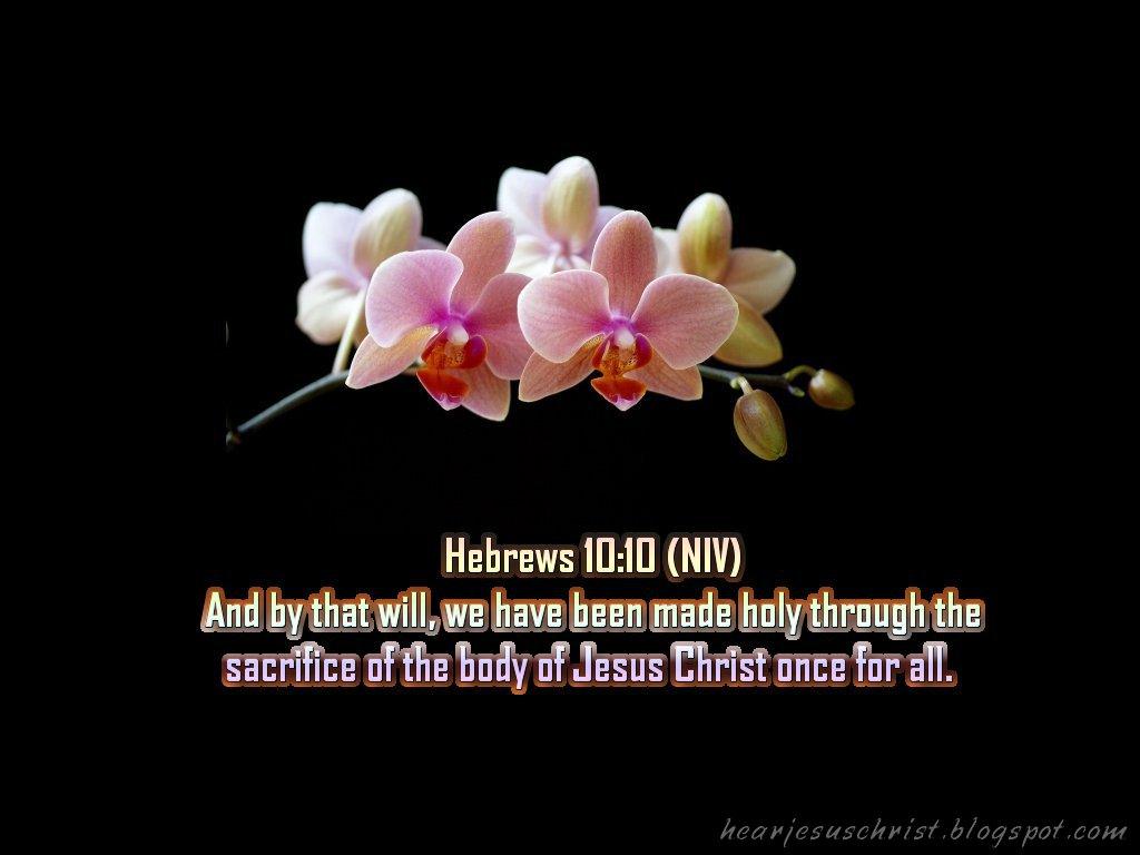 1024x768 Free download Christian Wallpaper Bible Verse Wallpaper Hebrews 1010 [1024x768] for your Desktop, Mobile & Tablet. Explore Jewish Wallpaper with Scriptures. Bible Scriptures Wallpaper, Free Bible Wallpaper with Scriptures, Proverbs Wallpaper