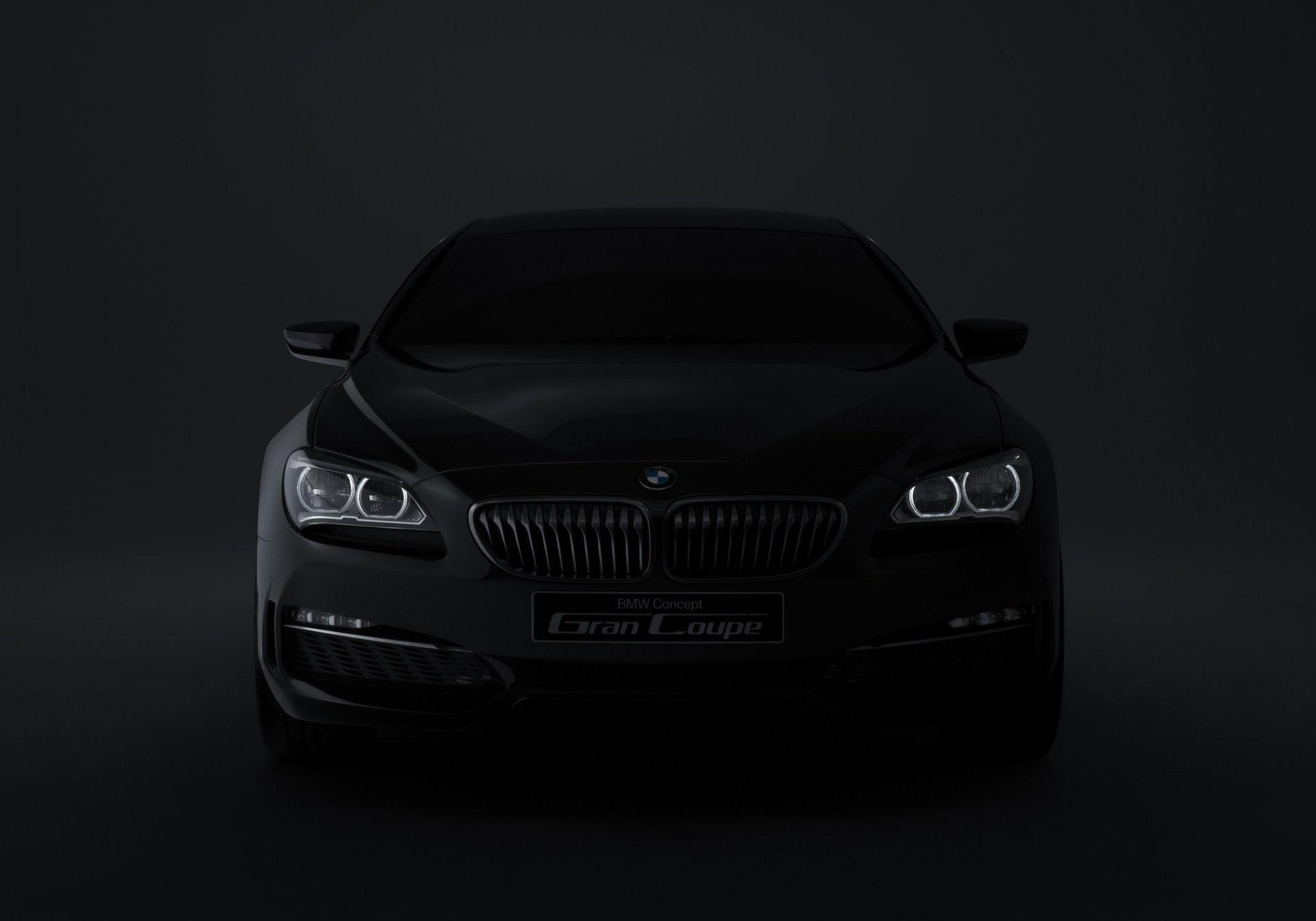 1920x1344 BMW Logo HD