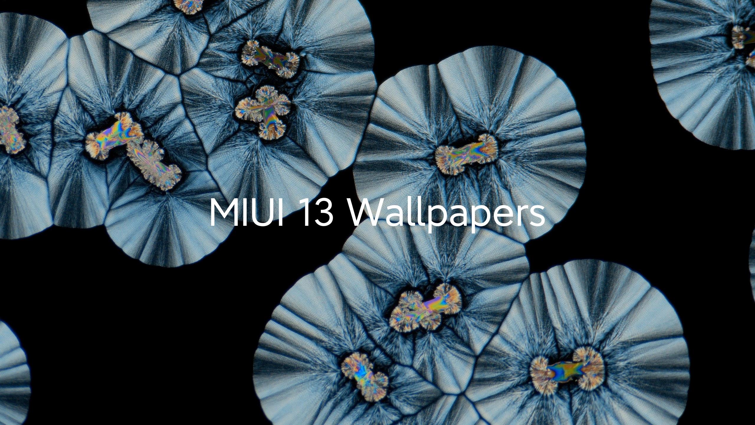 2560x1440 MIUI 13 HD Stock Wallpaper. Download here