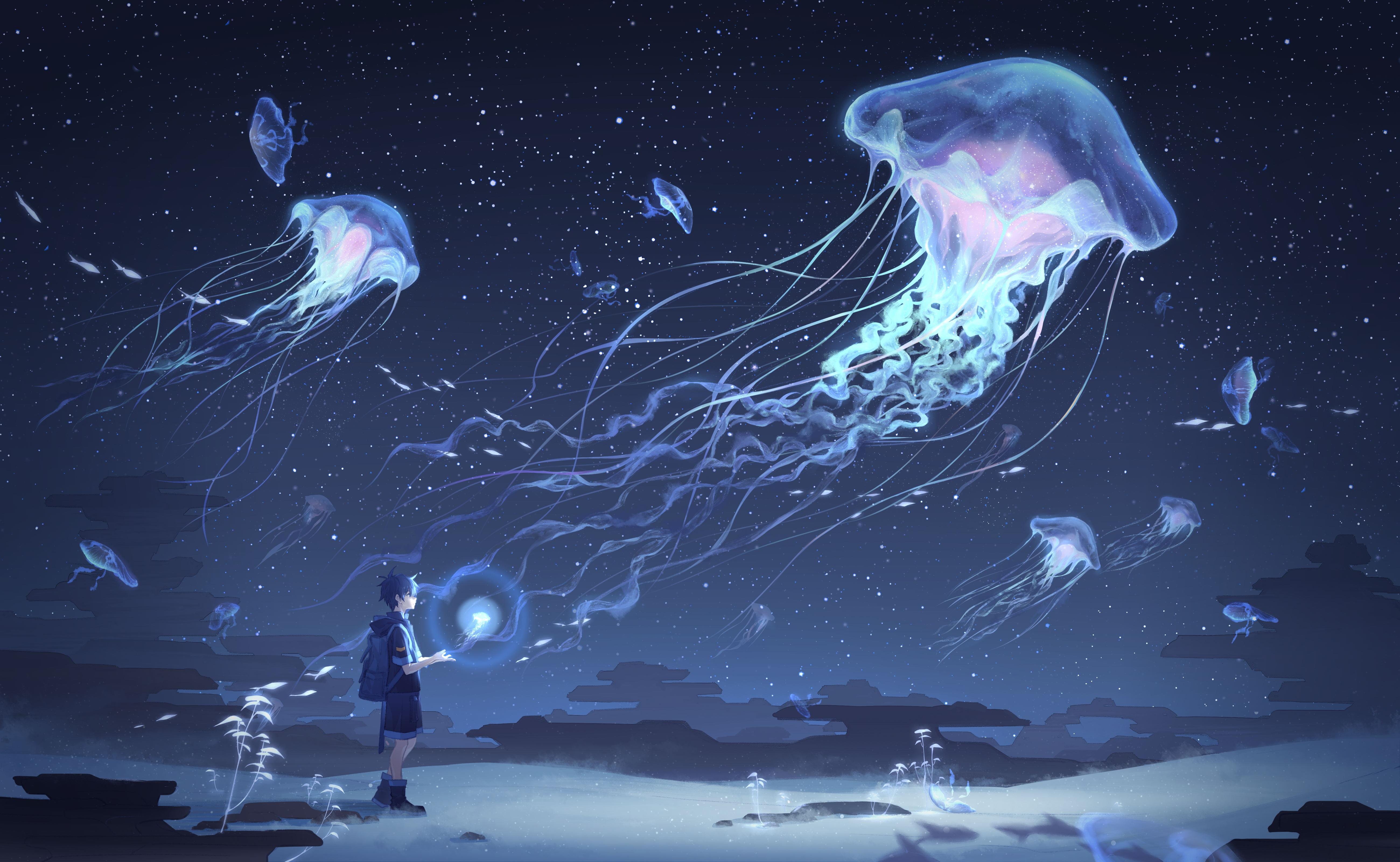 5200x3200 Jellyfish HD Wallpaper and Background