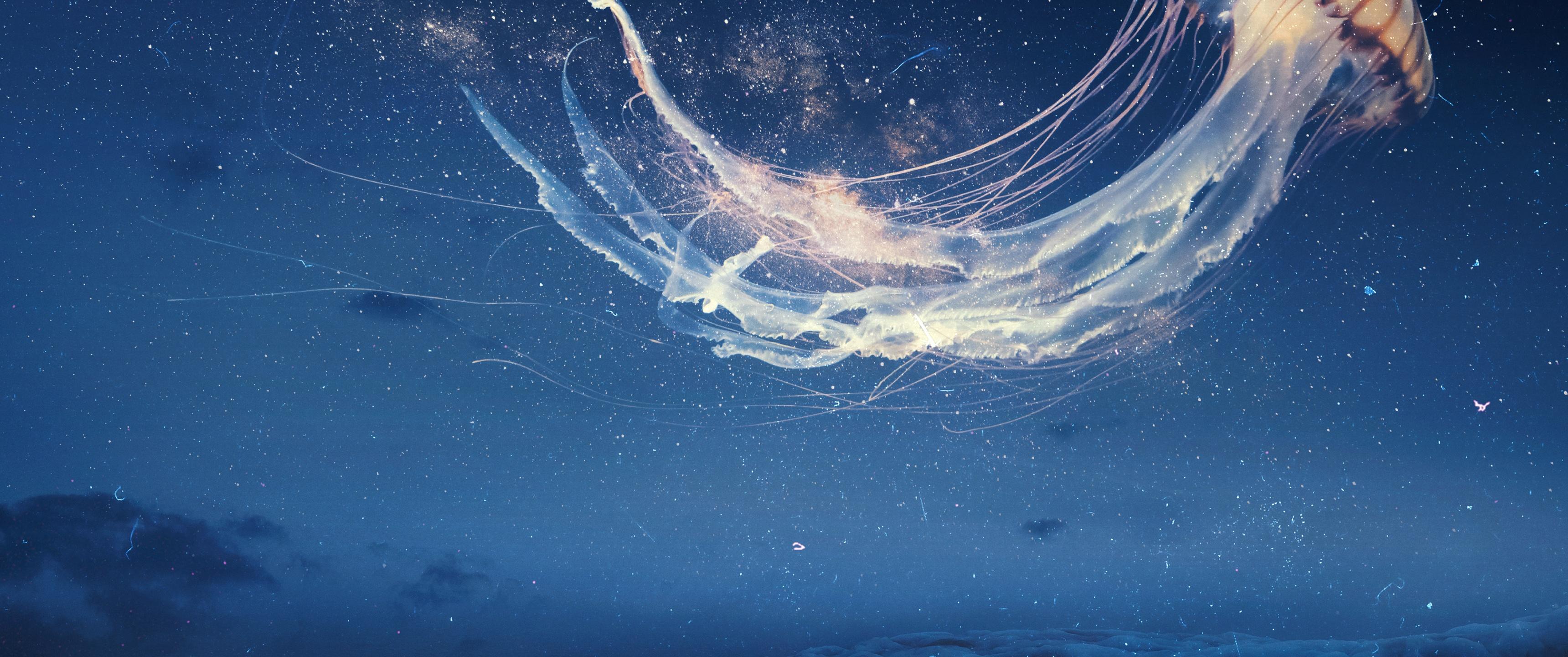 3440x1440 Jellyfish Wallpaper 4K, Dream, Surreal, Fantasy