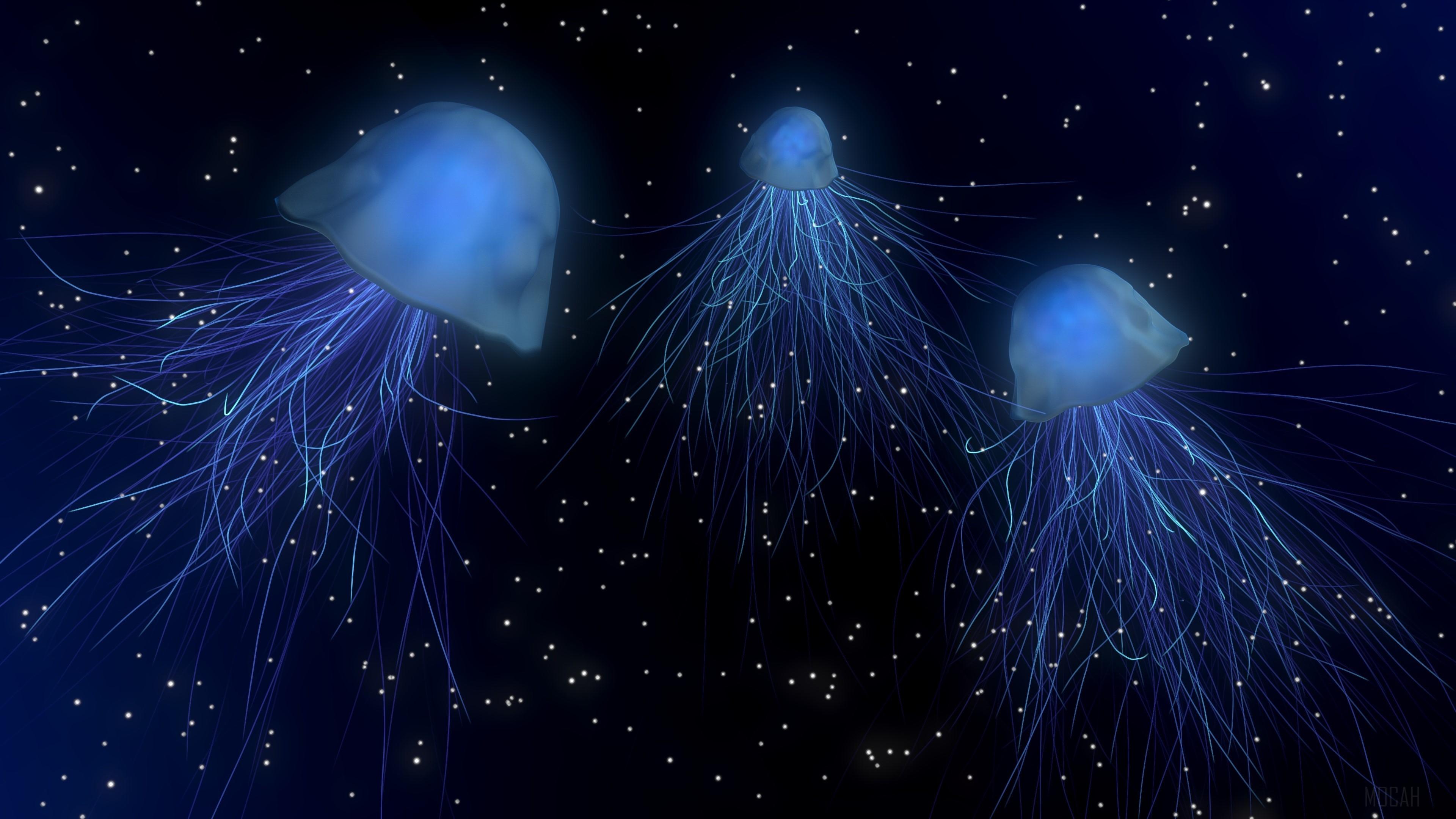 3840x2160 Jellyfish Abstract 4k Gallery HD Wallpaper