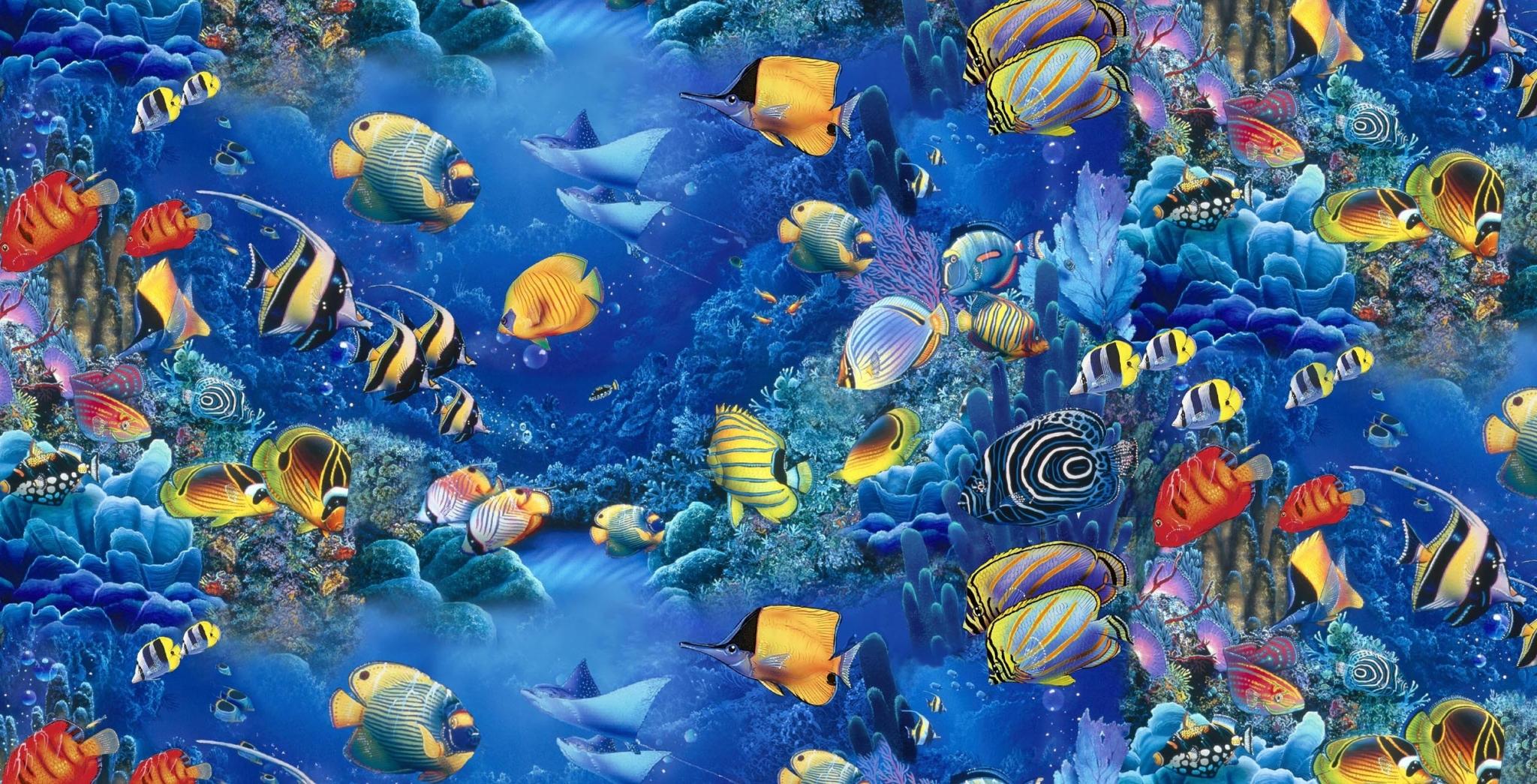 2048x1045 2048x1045 aquarium wallpaper for computer Gallery HD Wallpaper