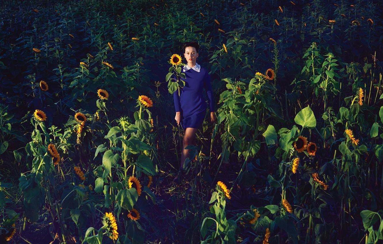 1332x850 Wallpaper field, the sun, sunflowers, dress, Katy Perry image for desktop, section ситуации