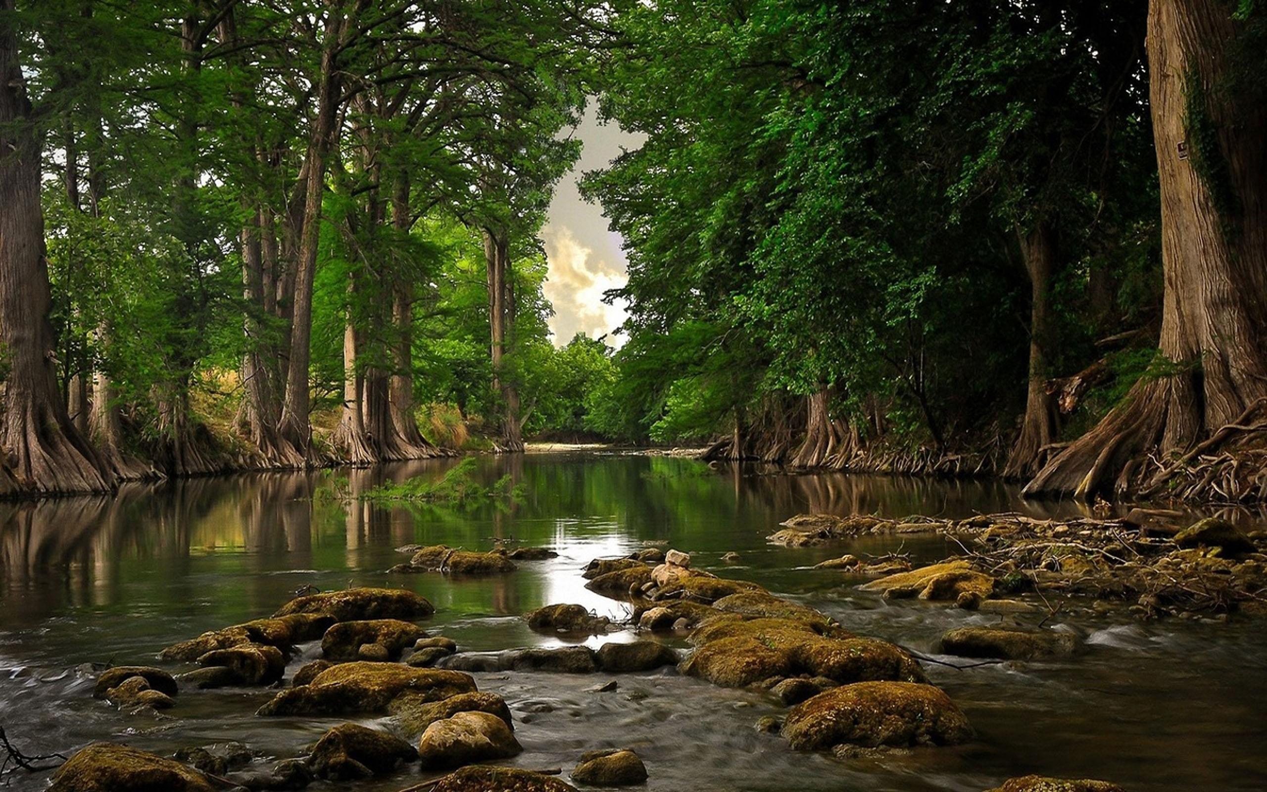 2560x1600 Very Quiet Place Water Trees Quite River Ultra 2560x1600 HD Wallpaper 1805058 :