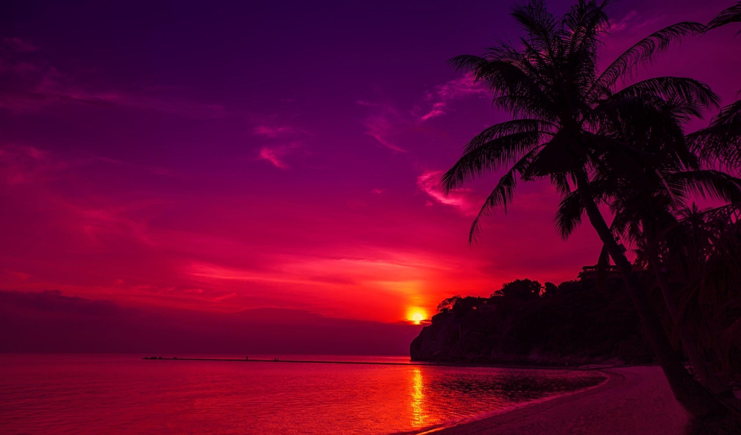 2560x1504 Aesthetic Wallpaper Pinterest HD Free download