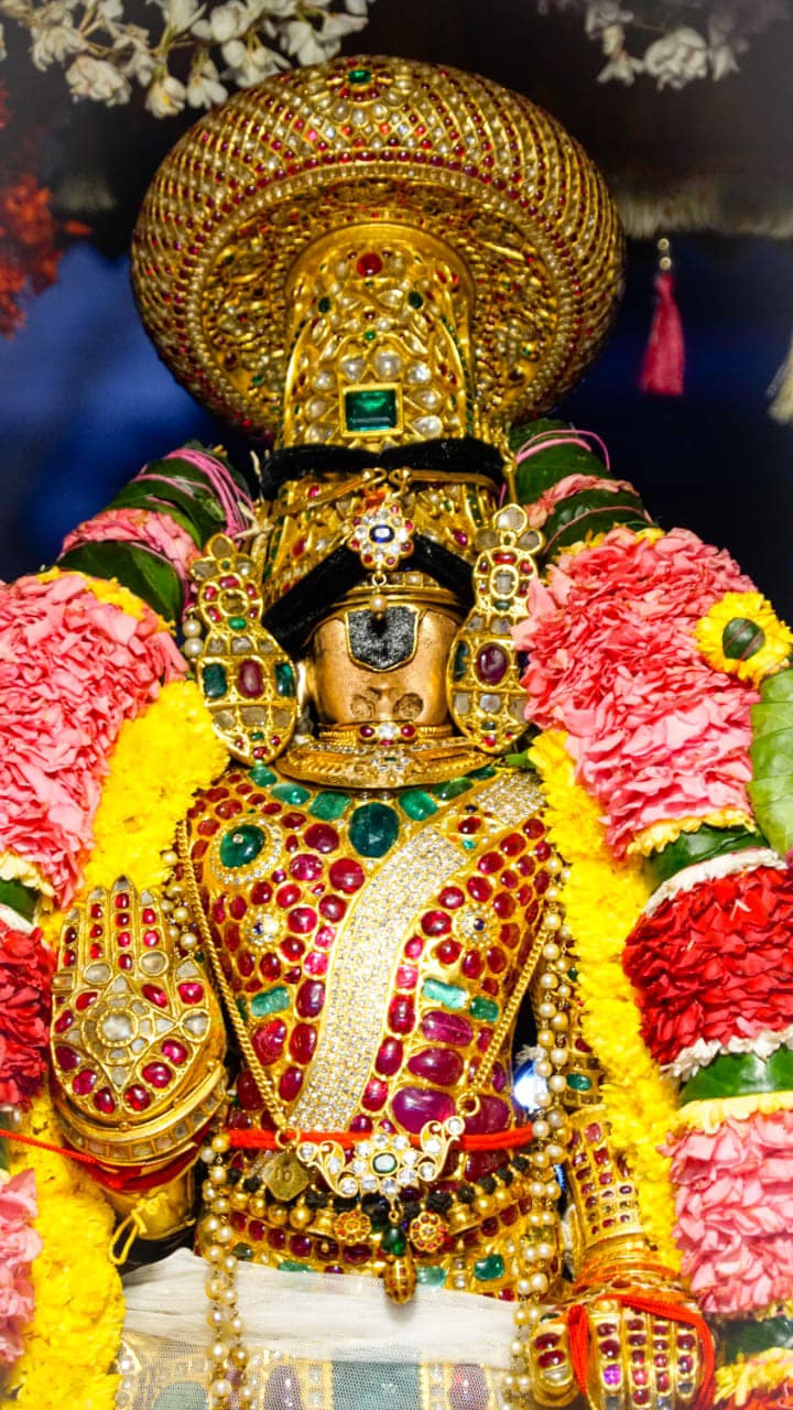 720x1280 Venkatadri Swami & the Lord's Diamond Crown!
