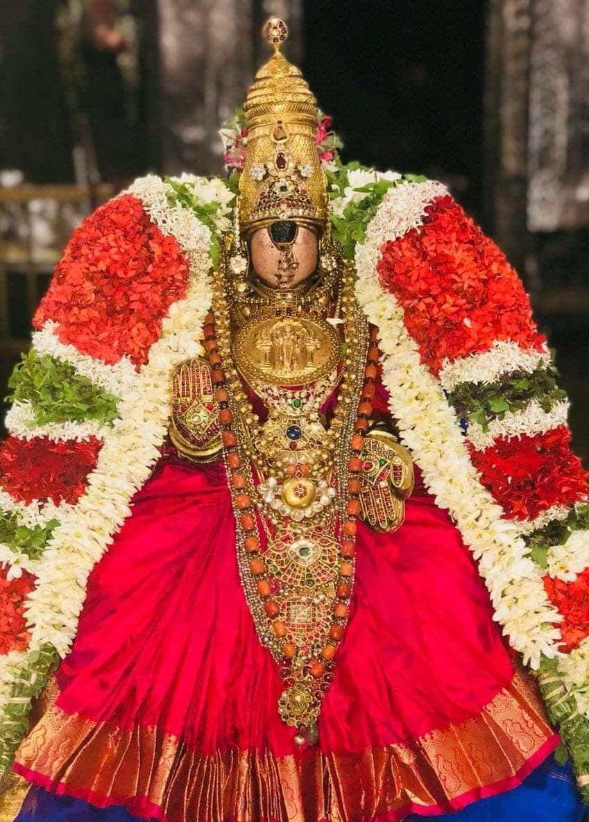849x1185 Srirangam Ranganayaki. Indian goddess, Goddess lakshmi, Indian gods