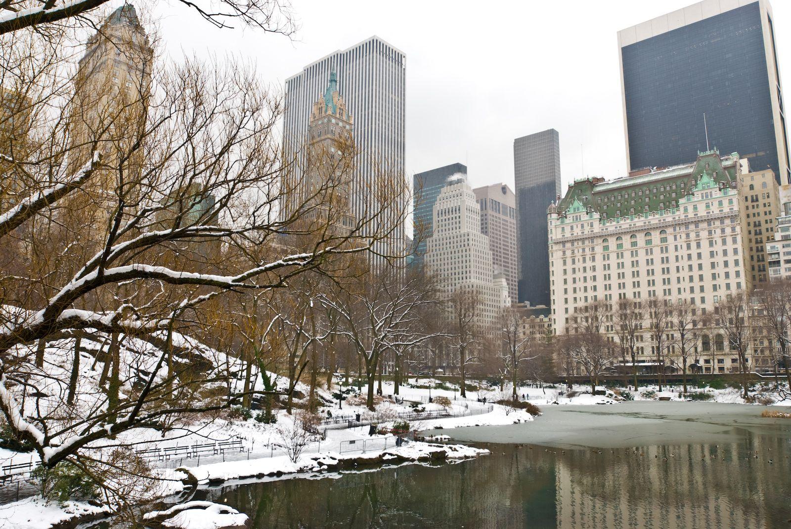 1600x1071 New York image Central Park, New York in Winter HD wallpaper