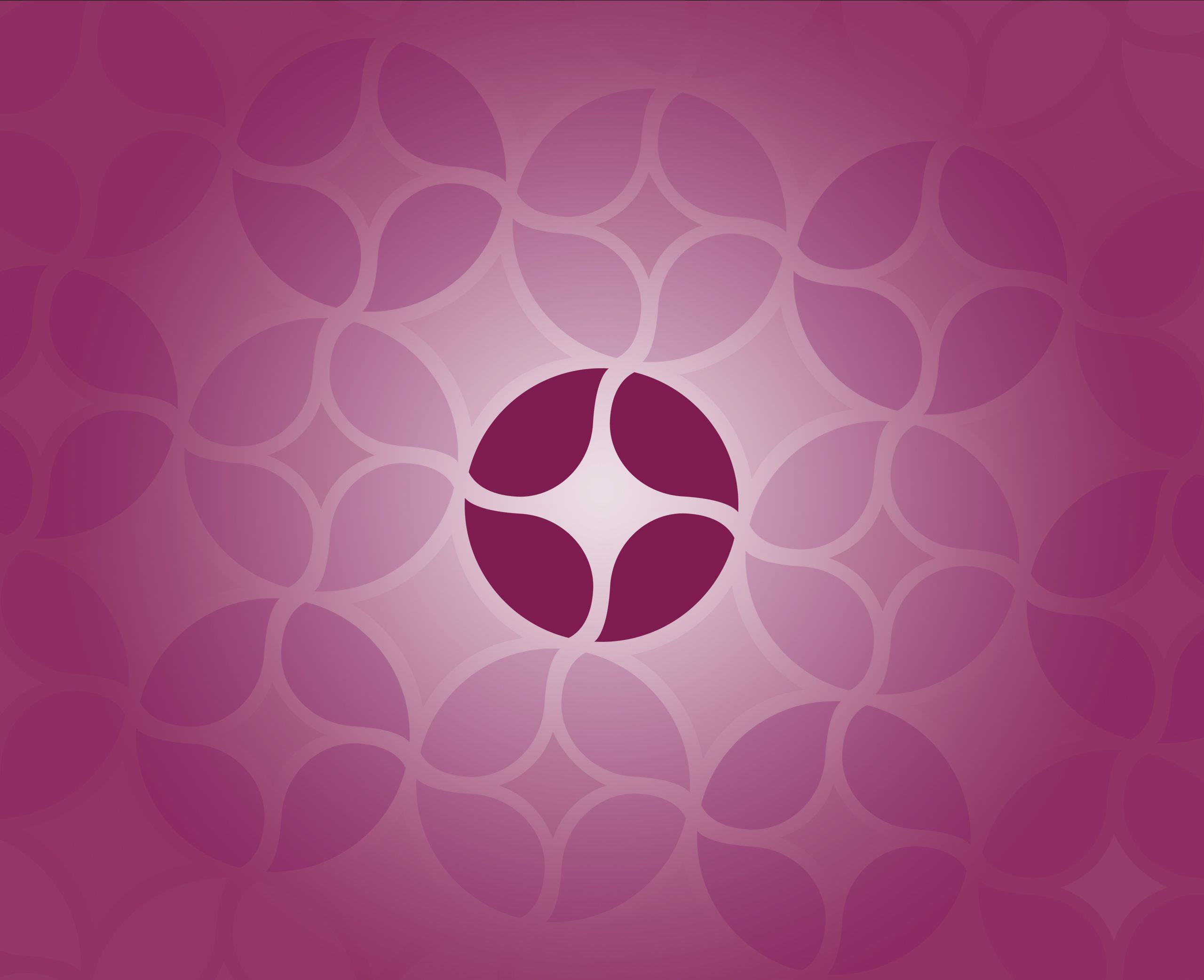 2560x2084 Ideastream Public Media Style Guide