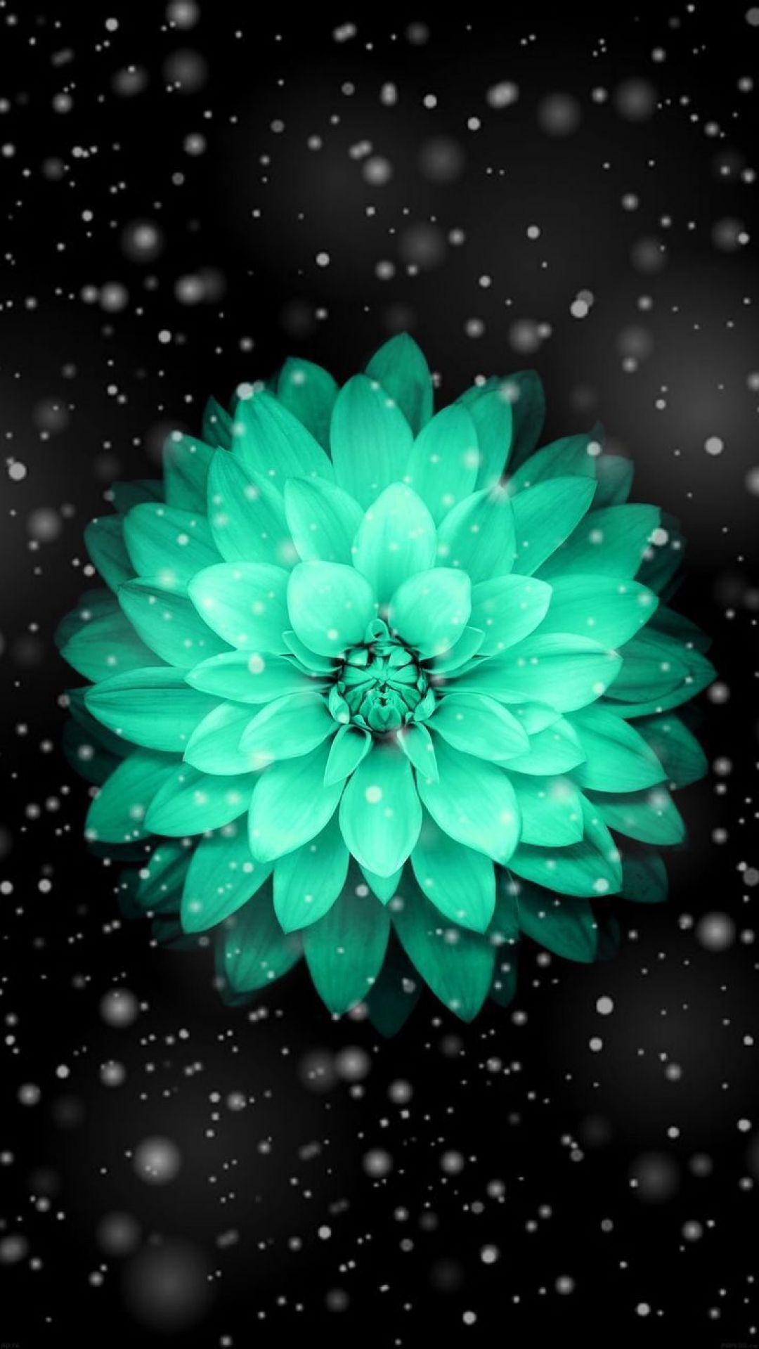 1080x1919 + about beautiful amazing wallpaper unmissable.daotaonec.edu.vn
