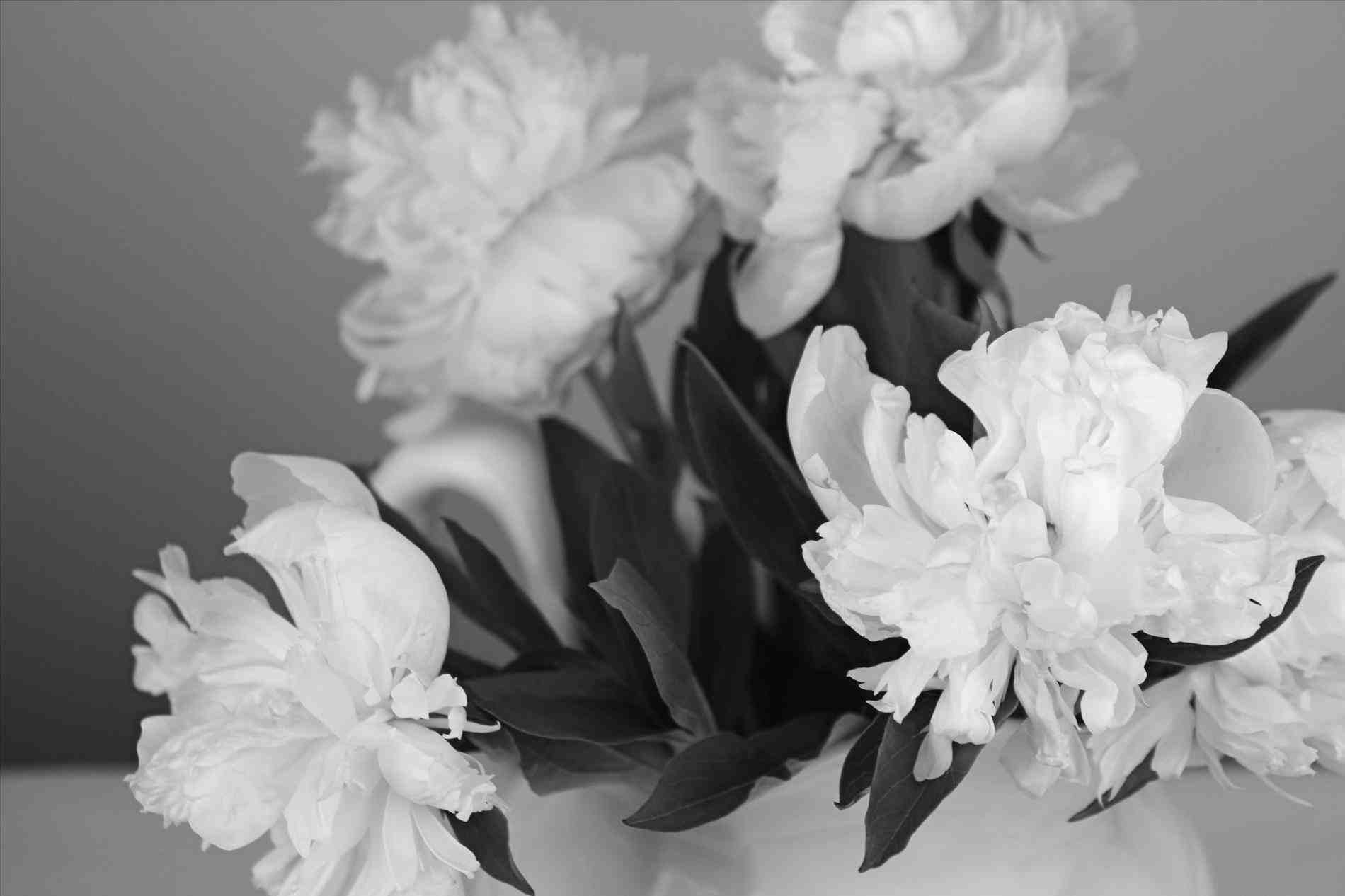 Aesthetic Pink White Wallpapers Top Free Aesthetic Pink White