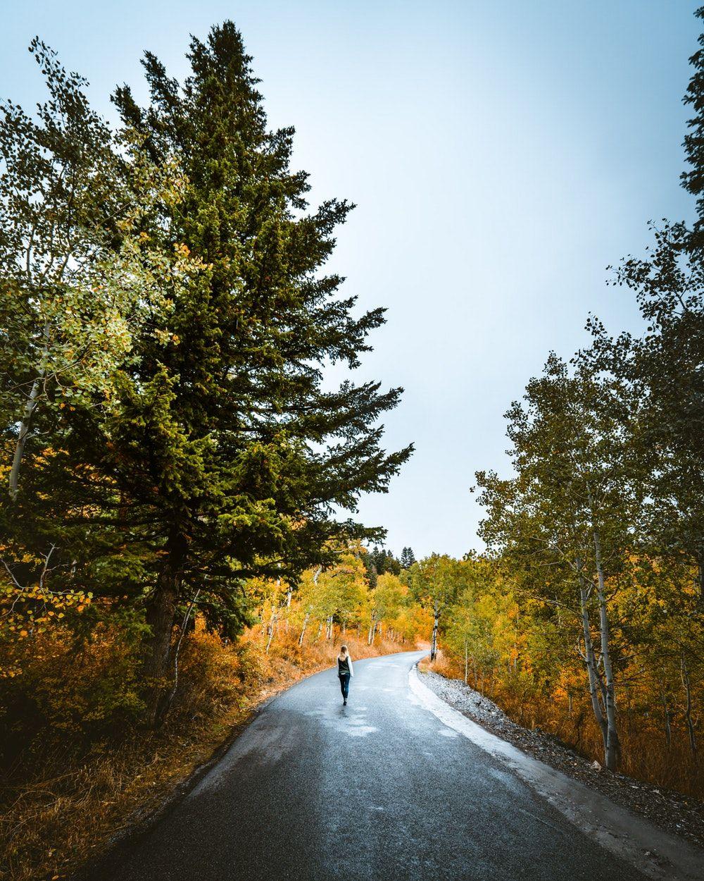1000x1250 Walking Away Picture. Download Free Image