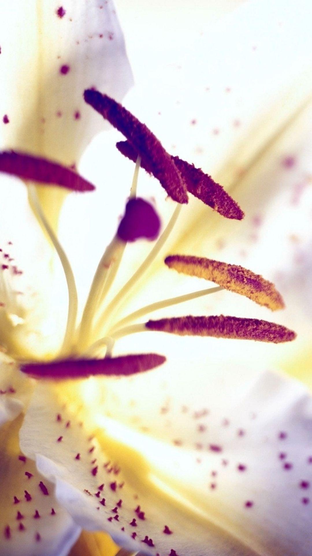 1080x1920 Aesthetic Purple Flower Heart Lily Macro iPhone 8 Wallpaper Free Download