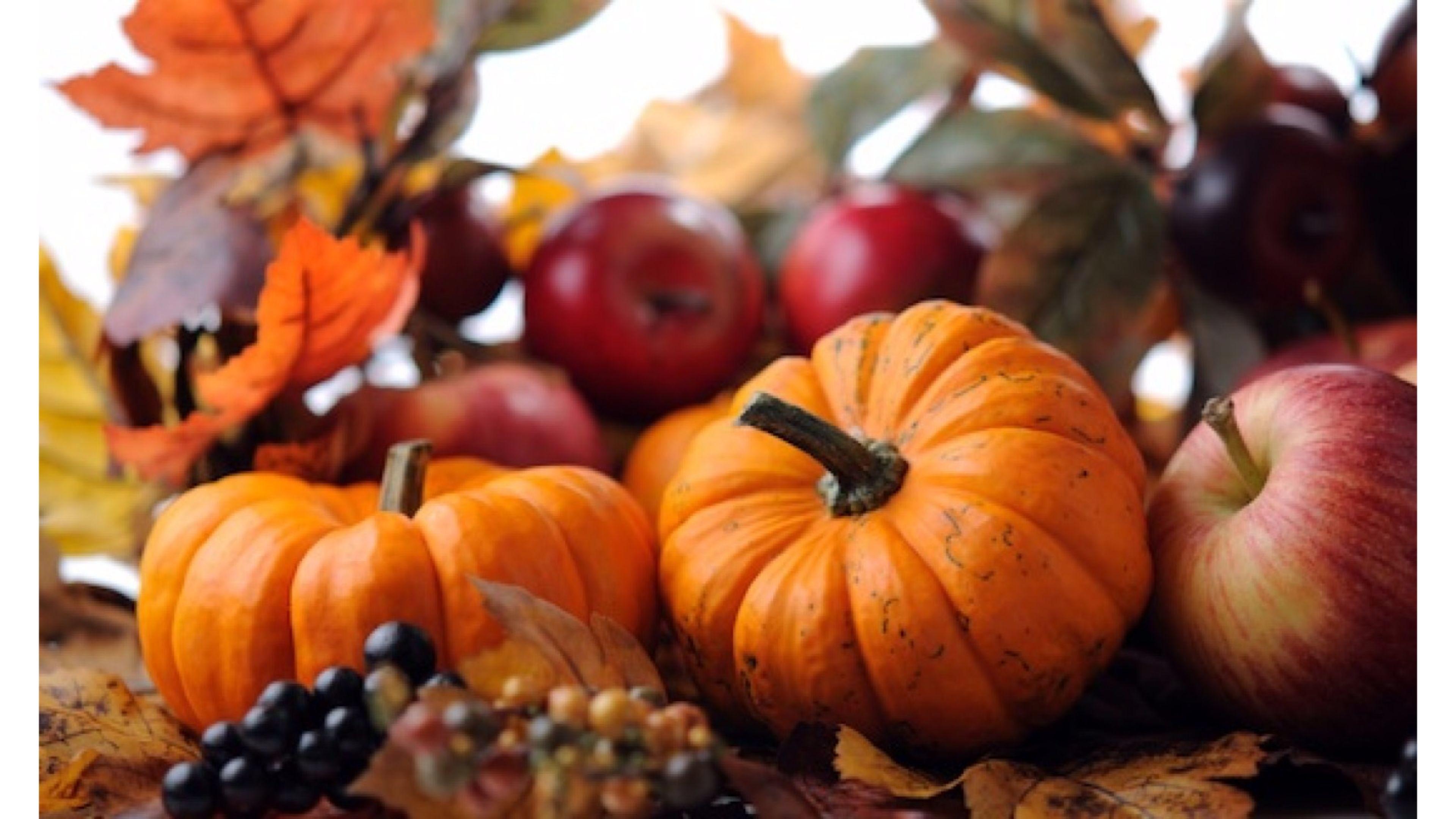 Autumn Pumpkin Desktop Wallpapers Top Free Autumn Pumpkin Desktop 