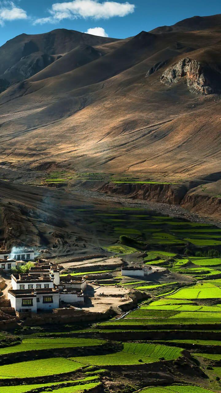 720x1280 Happy APPS: Tibet Live Wallpaper