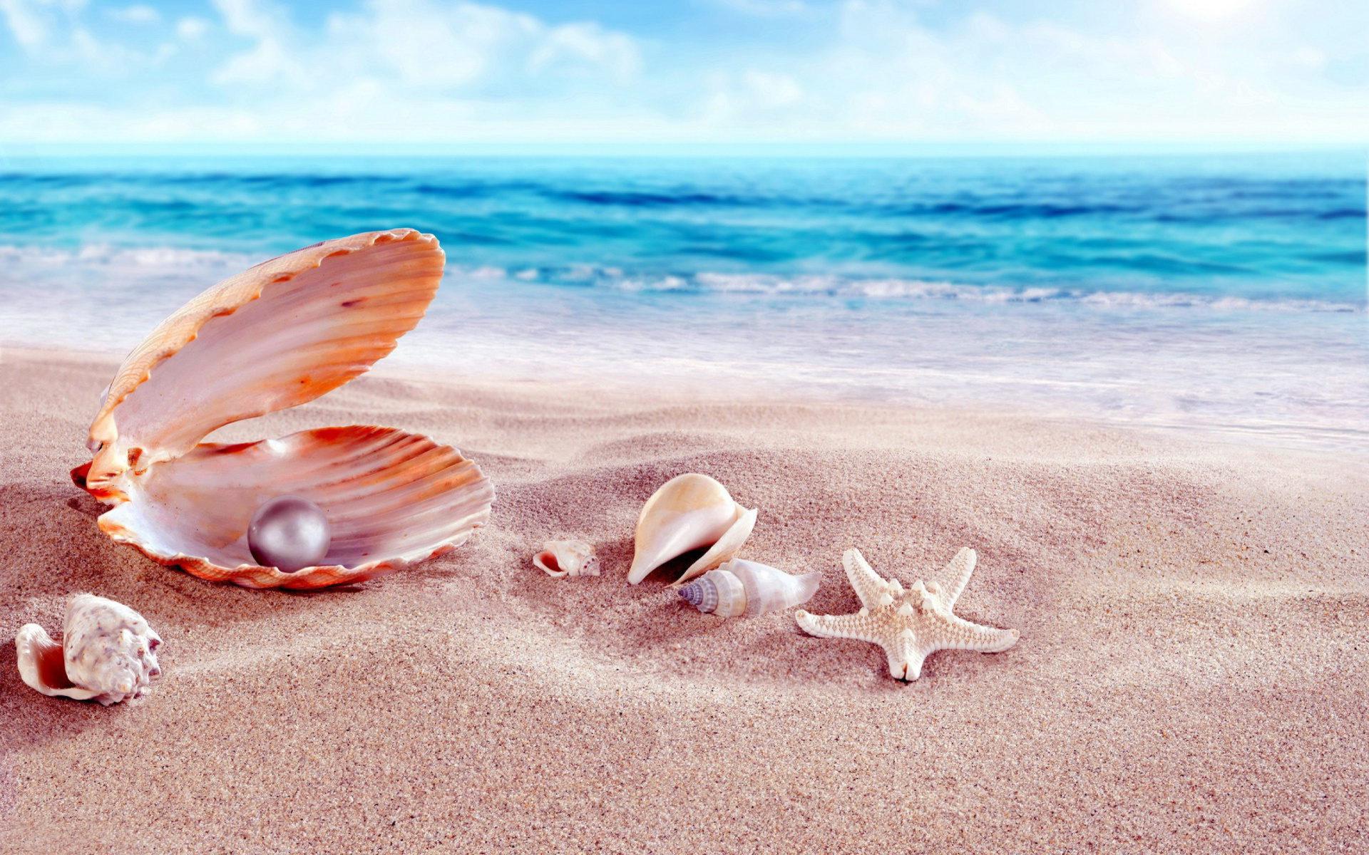 1920x1200 Sea Shells With Beads Sandy Beach HD Wallpaper 1920x1200 :