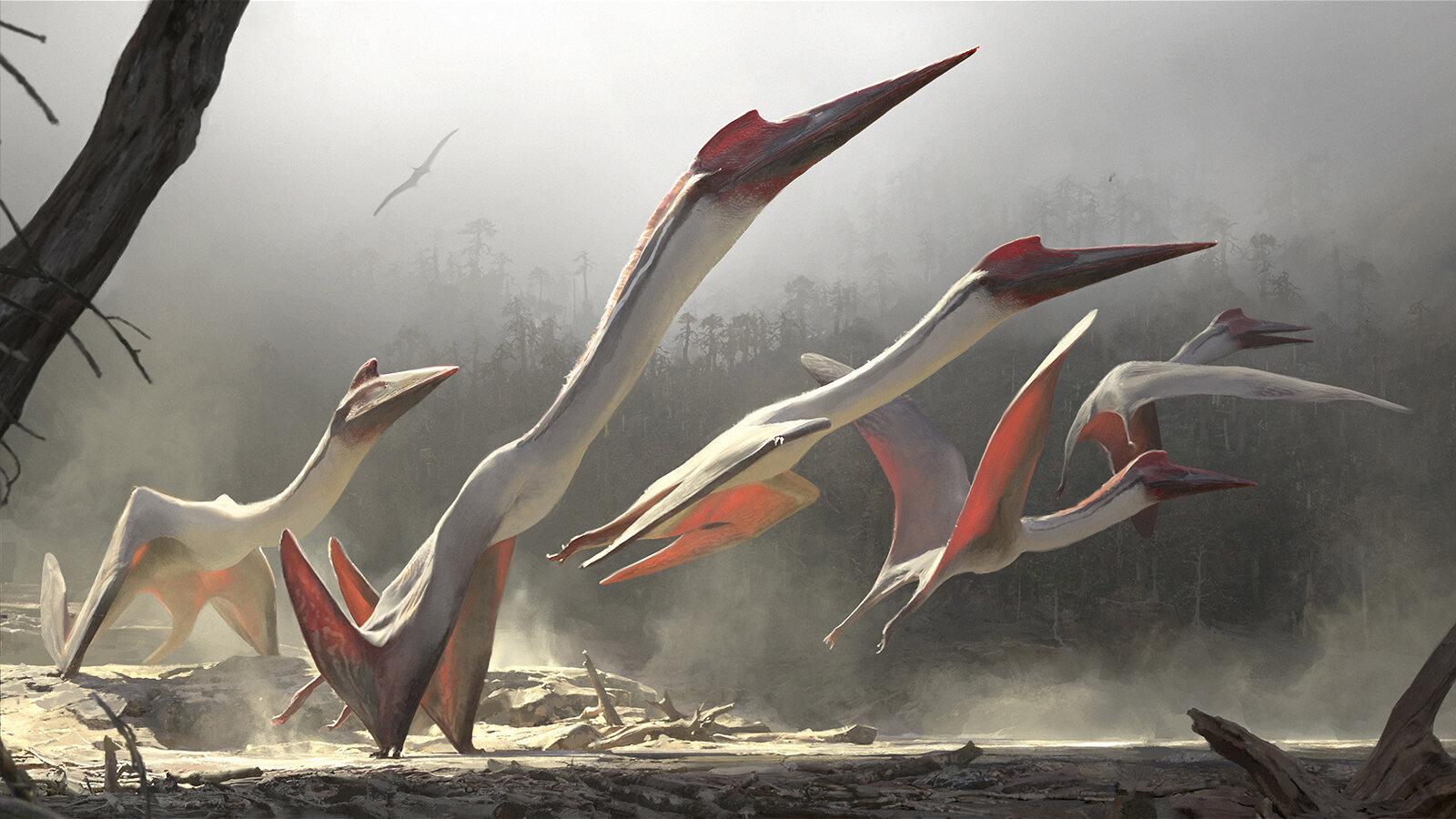 1600x900 Quetzalcoatlus