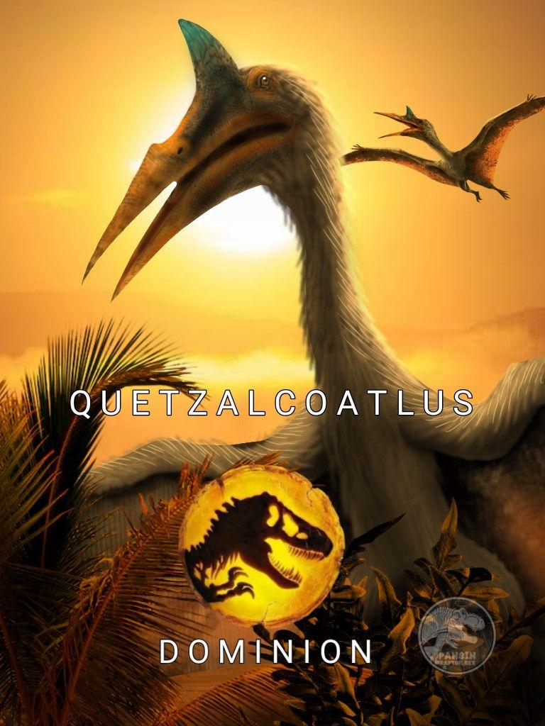 Quetzalcoatlus Wallpapers - Top Free Quetzalcoatlus Backgrounds ...