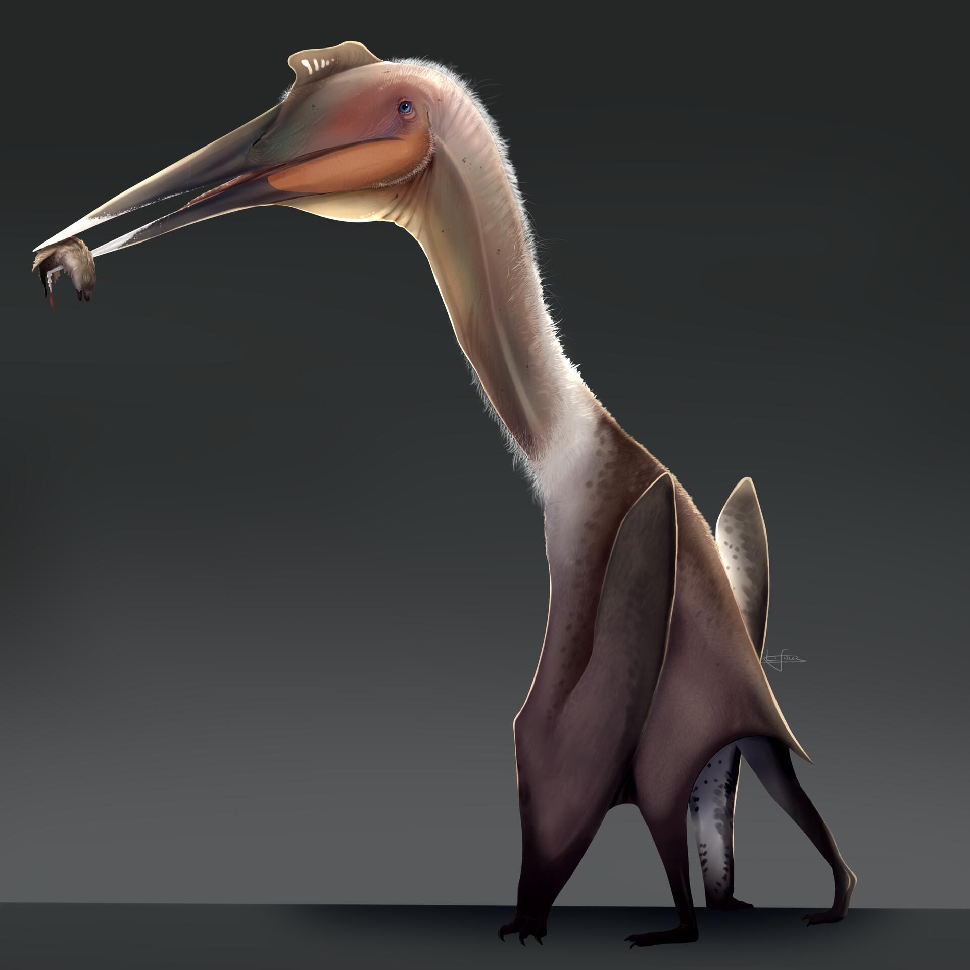 1920x1920 Quetzalcoatlus