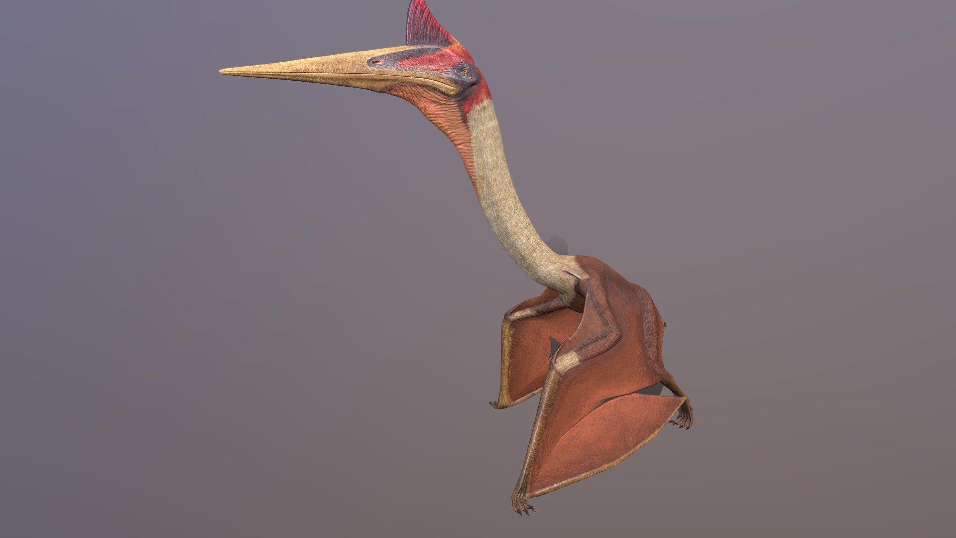 1920x1080 Quetzalcoatlus pterosaur model by pxltiger [b244712]