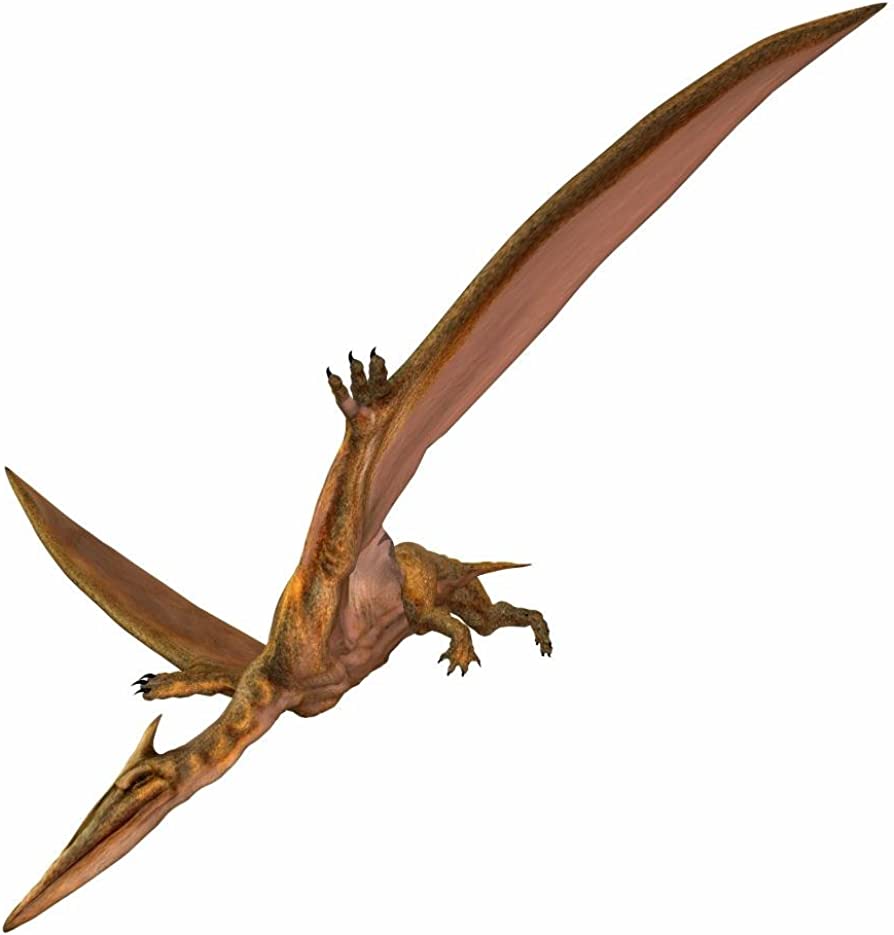 Quetzalcoatlus Wallpapers - Top Free Quetzalcoatlus Backgrounds 