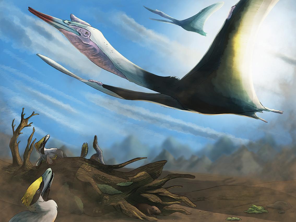 1134x850 The Flying Girafe Quetzalcoatlus by UmbreoNoctie - Fur Affinity [dot] net