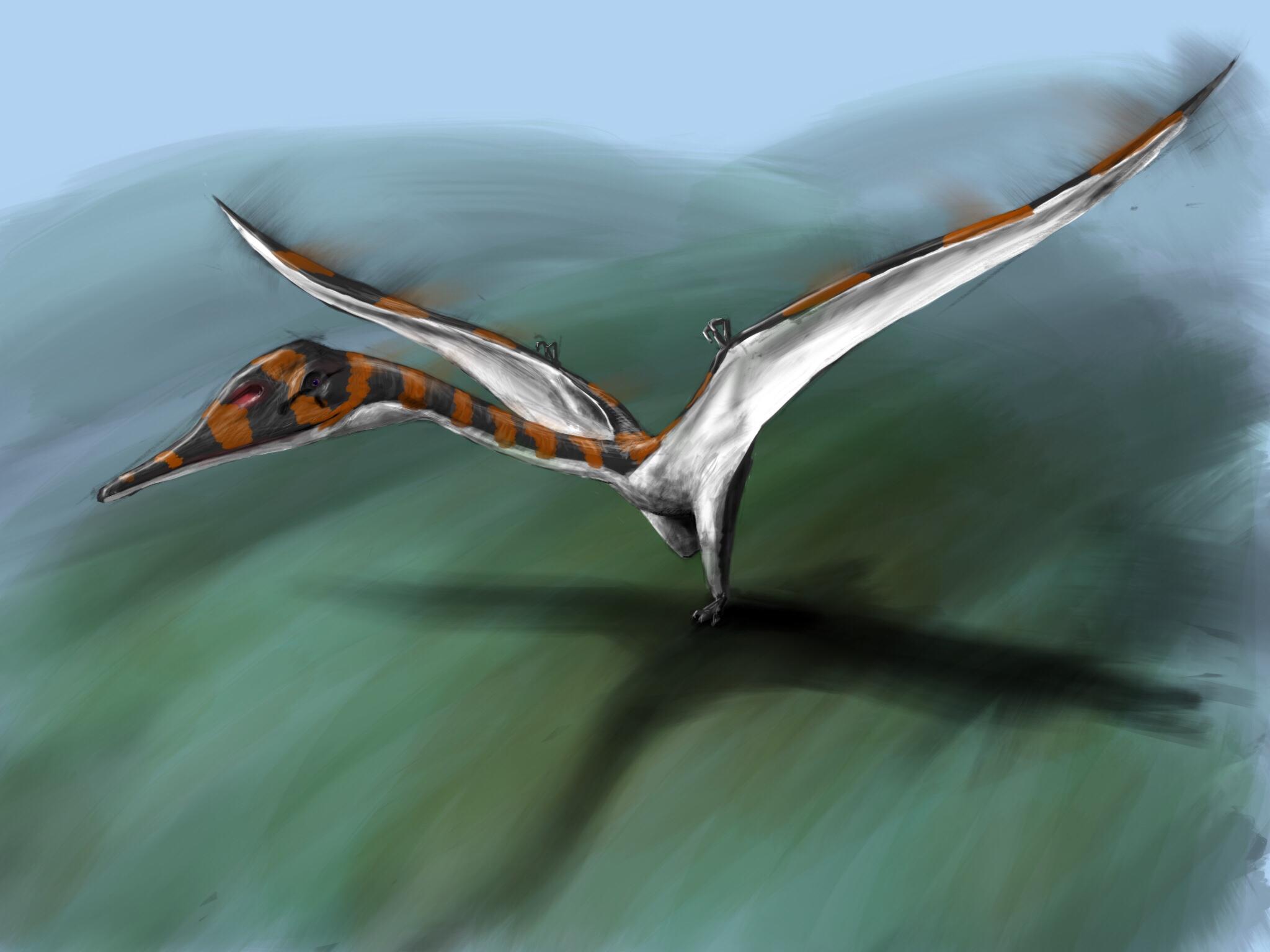 2048x1536 Quetzalcoatlus Leaps Into the Air