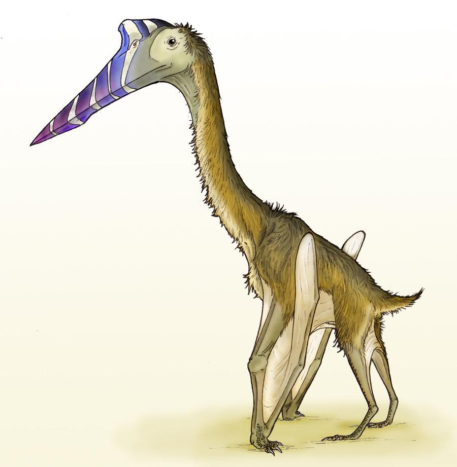 900x921 Quetzalcoatlus Picture & Facts Dinosaur Database