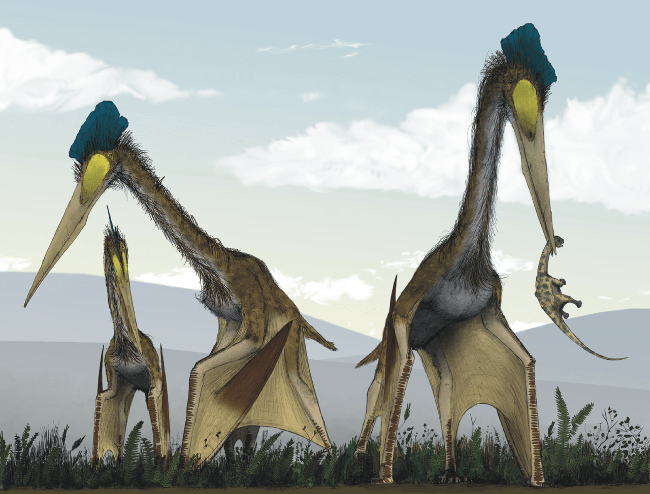1280x973 Quetzalcoatlus. ARK: Survival Evolved