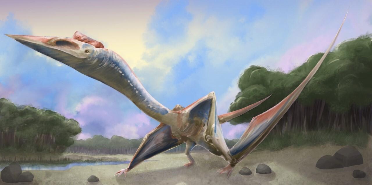1280x637 Grinning Quetzalcoatlus