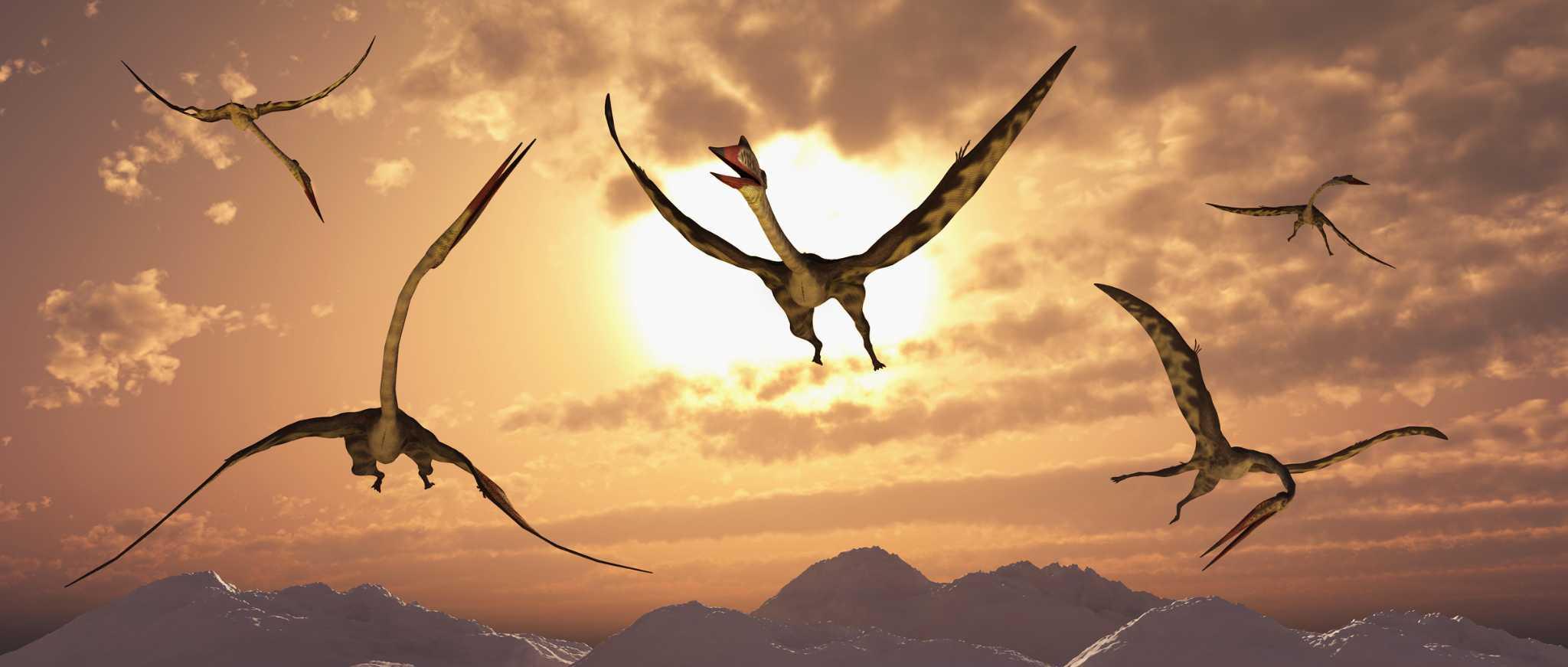2048x871 San Antonio, Texas was home to biggest flying 'dinosaur' ever: Quetzalcoatlus: named after Aztec god
