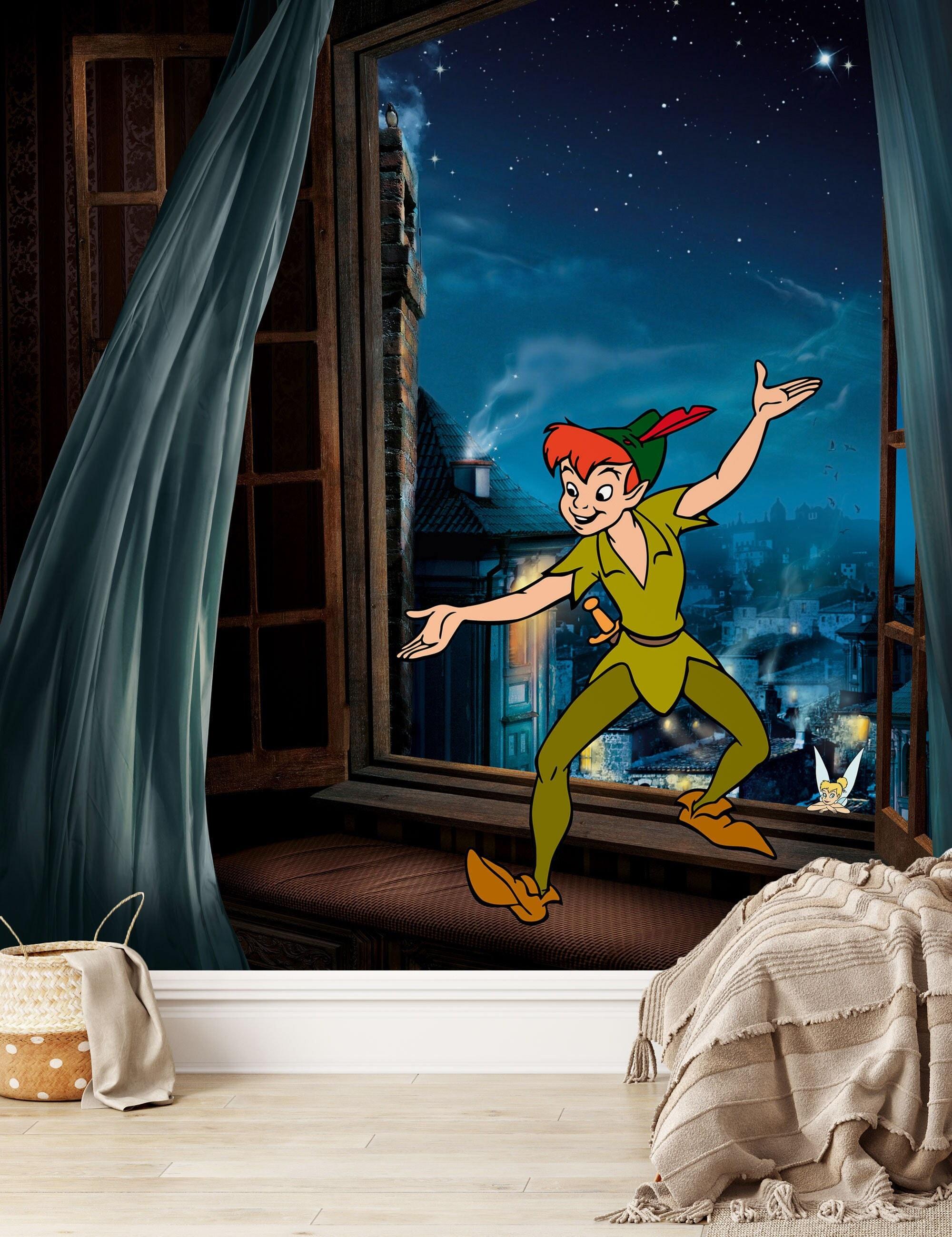 Peter Pan Cartoon Wallpapers Top Free Peter Pan Cartoon Backgrounds WallpaperAccess