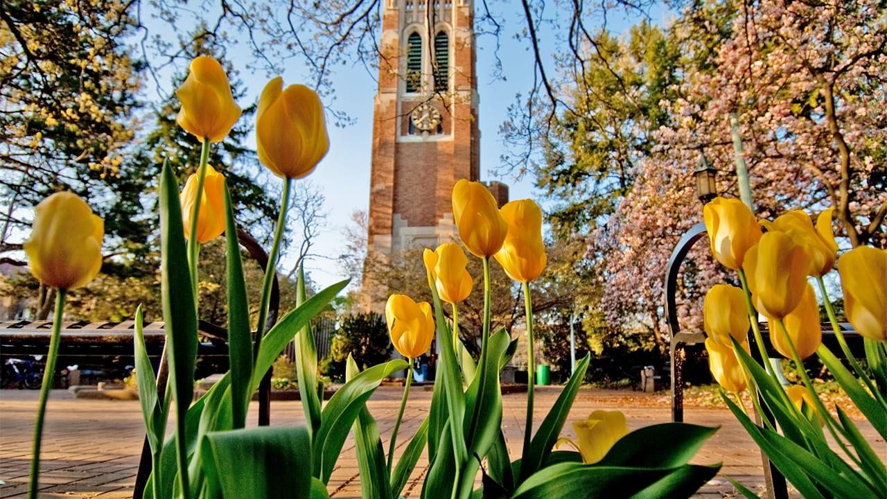 1280x720 MSU offers Zoom background of campus scenes. MSUToday. Michigan State University