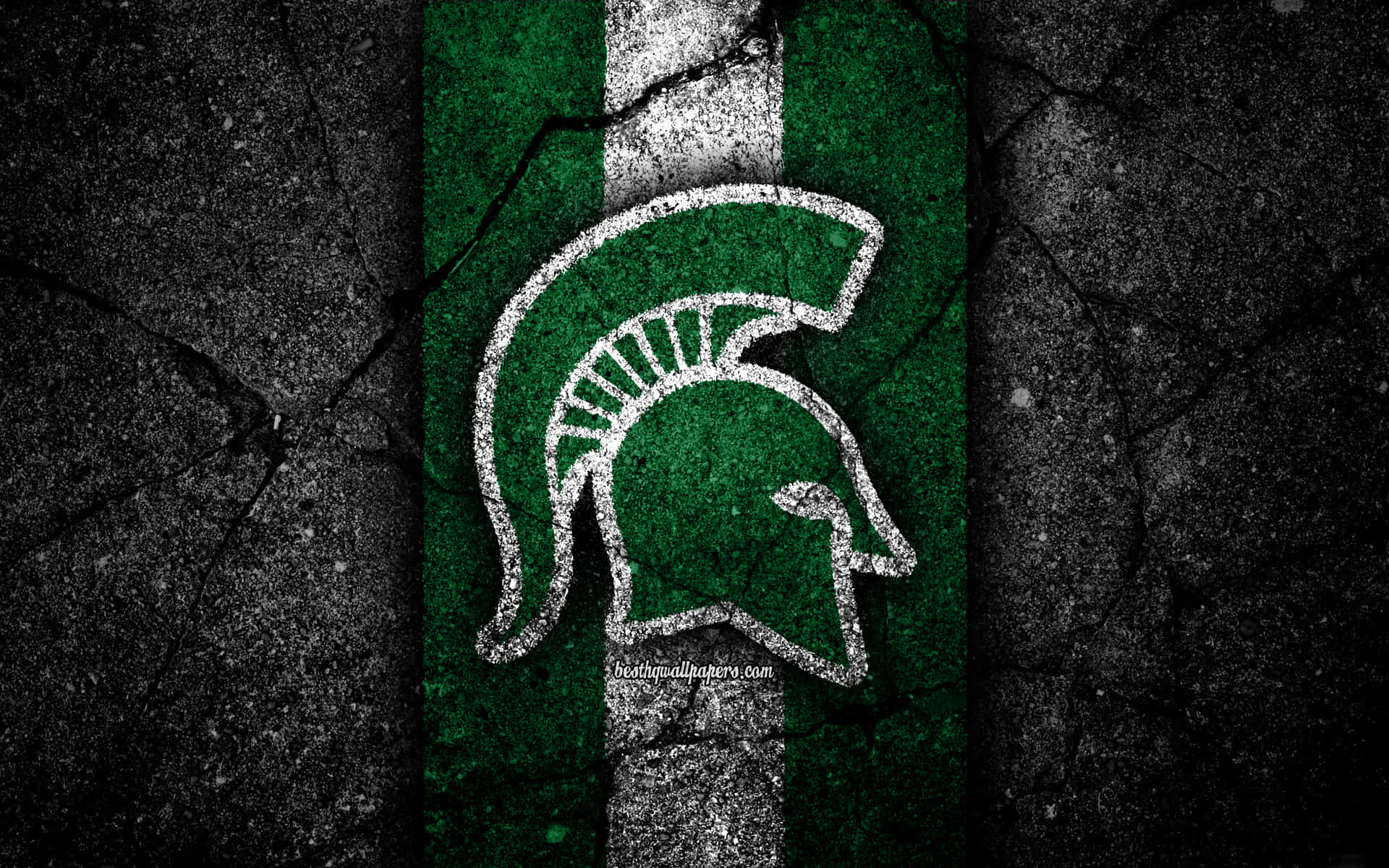 1920x1200 Free Michigan State Spartans Picture, Michigan State Spartans Picture for FREE