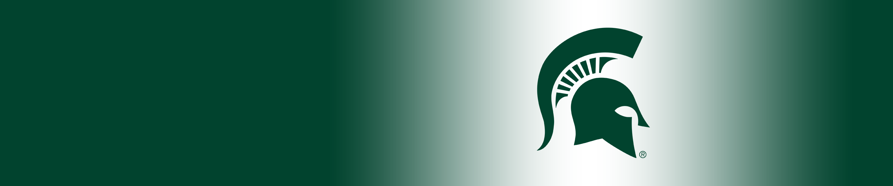 2880x600 Michigan State Spartans Wall Decals