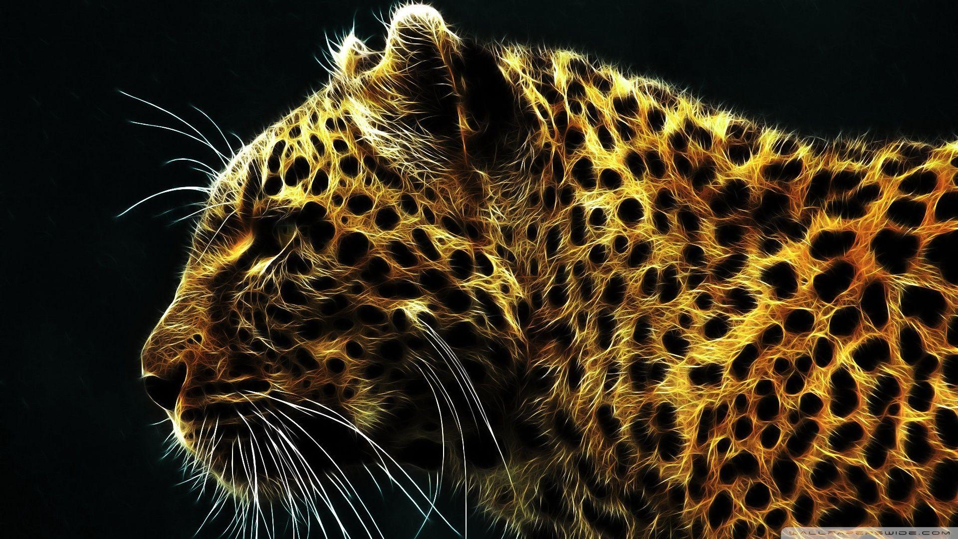 1920x1080 HD Cheetah Wallpaper